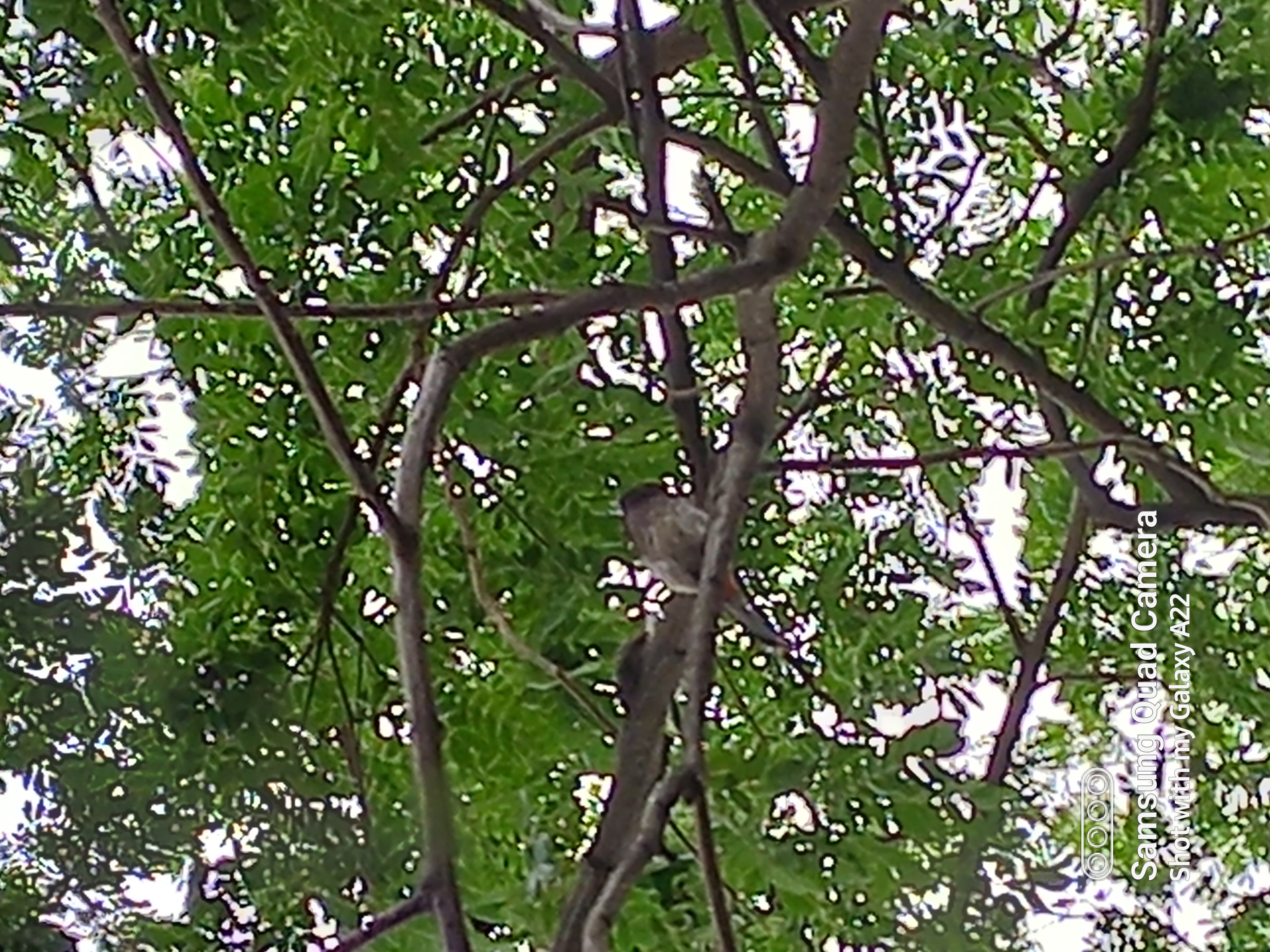 20220513_074755.jpg