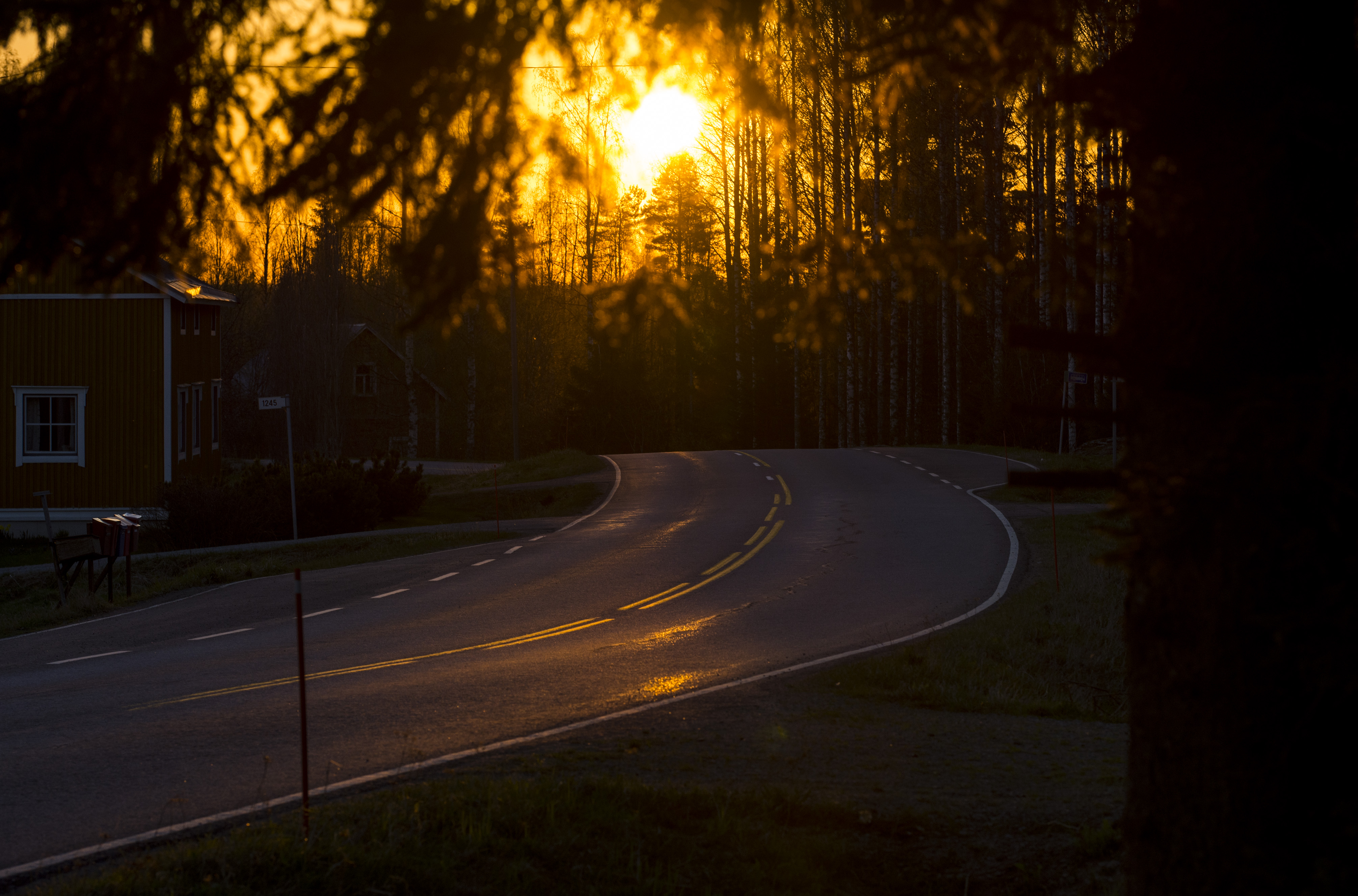 road1.jpg