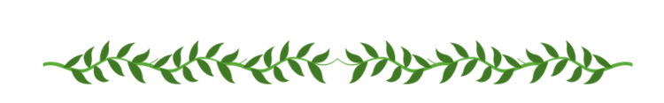 earth+border (1).png