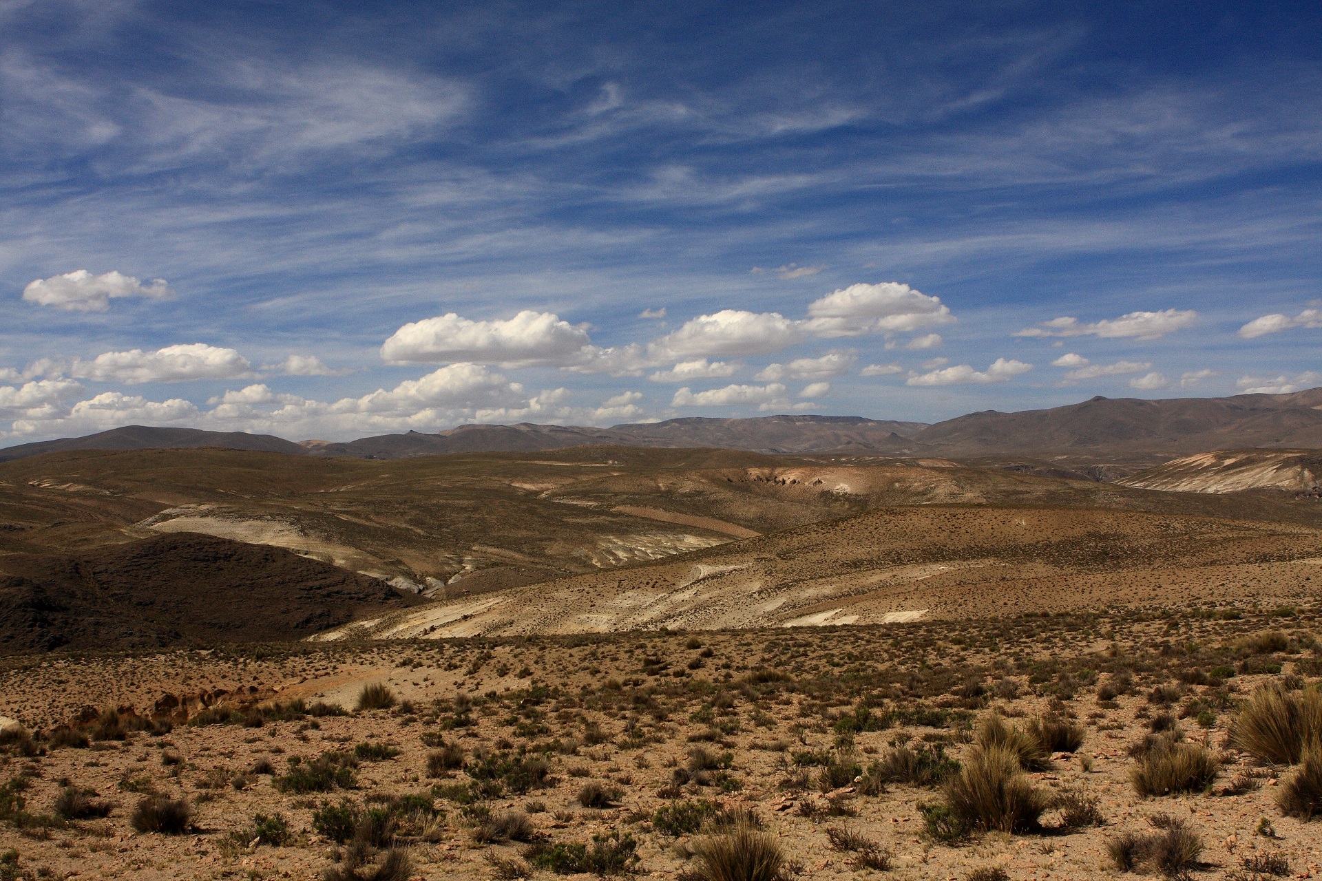 Peru (614).jpg