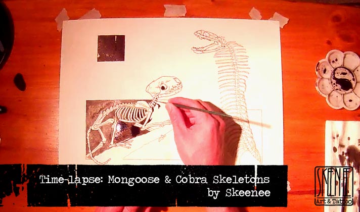 screenIntro-mongoose.jpg