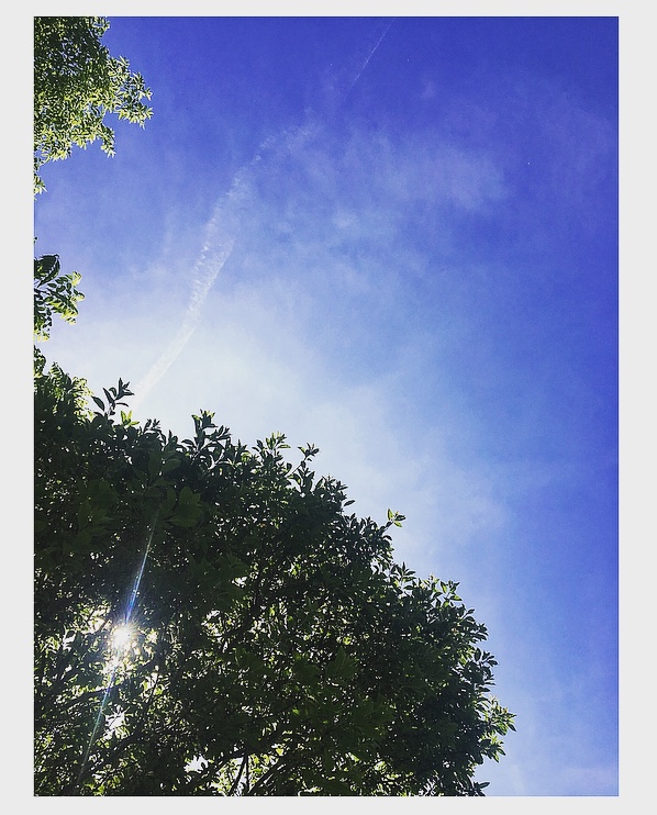 image1 (8).jpeg