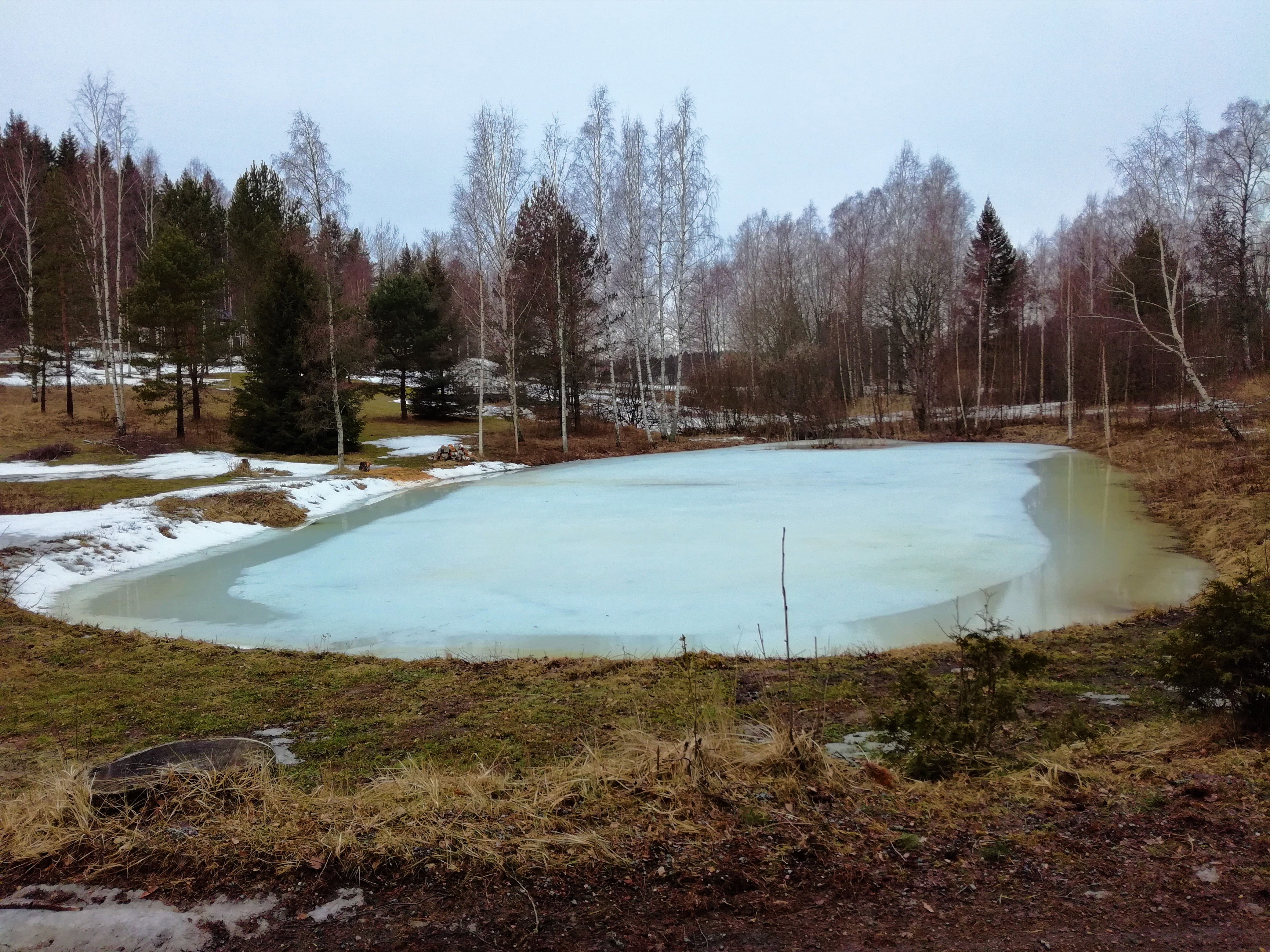 IMG_20190319_160918.jpg