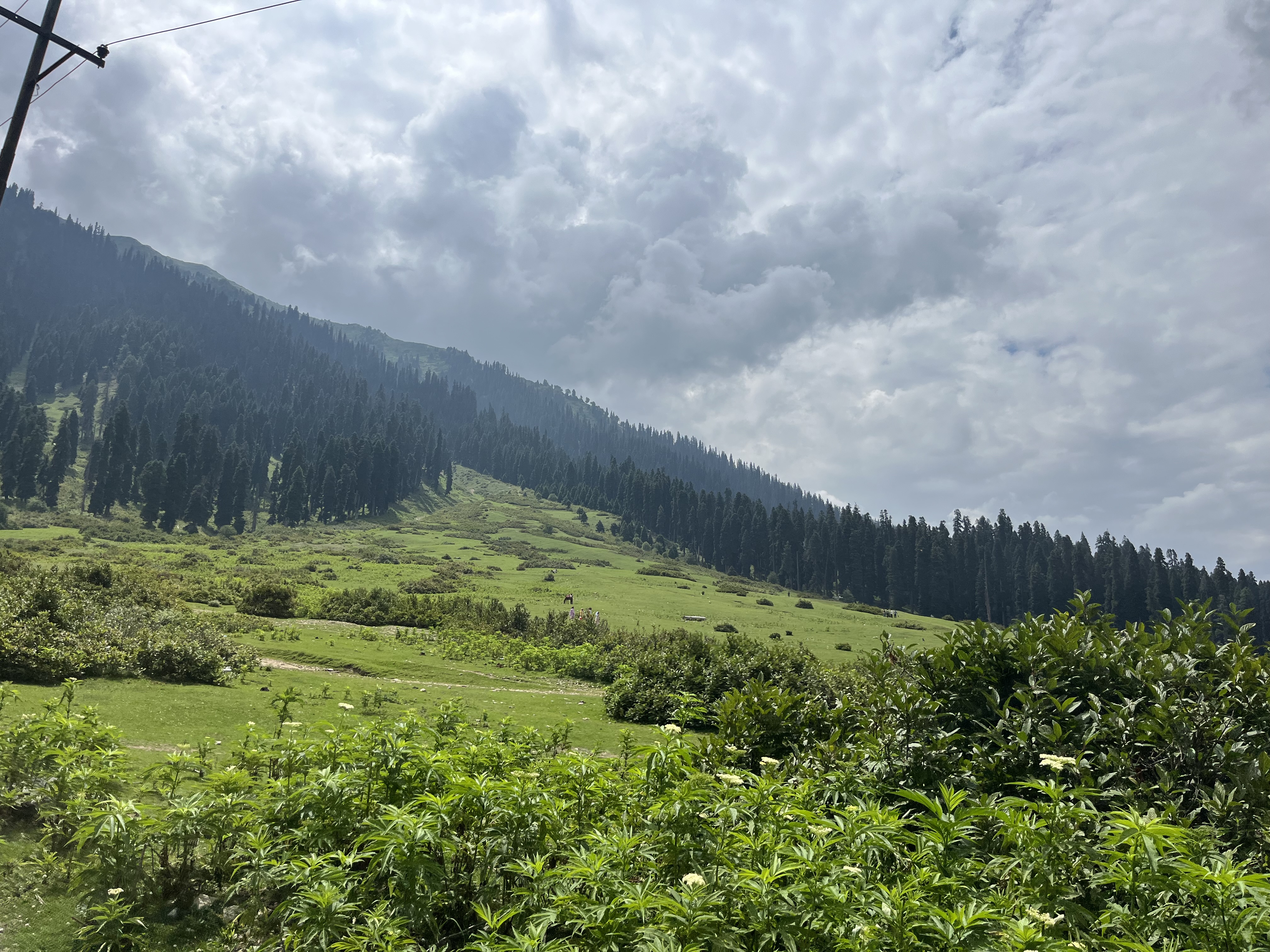 IMG_0929.jpeg