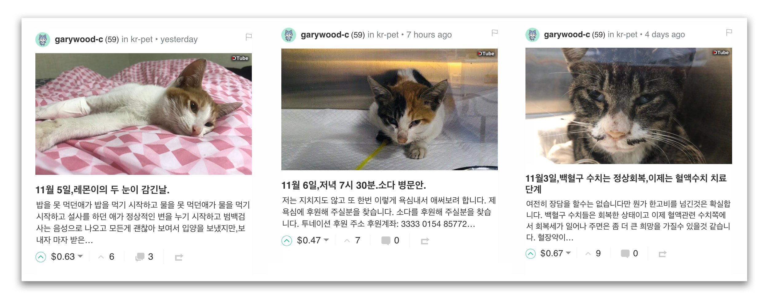 Cats.png