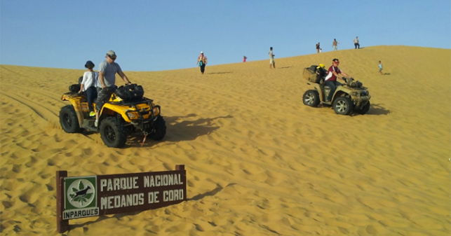 MEDANOS DE CORO.png