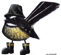 teamnz