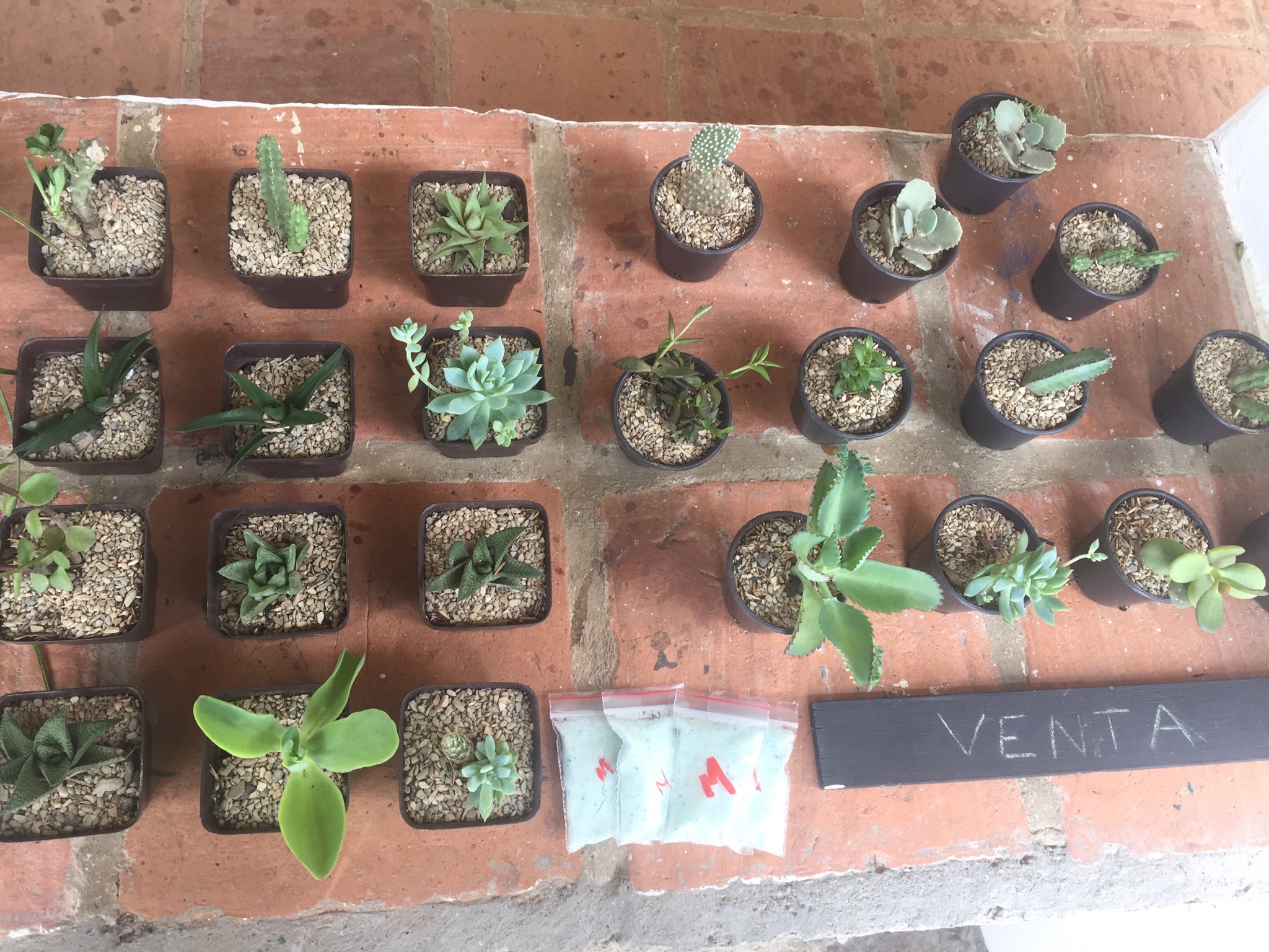 083325E0-18AB-4C1F-A634-FCF22E04A38B.jpeg
