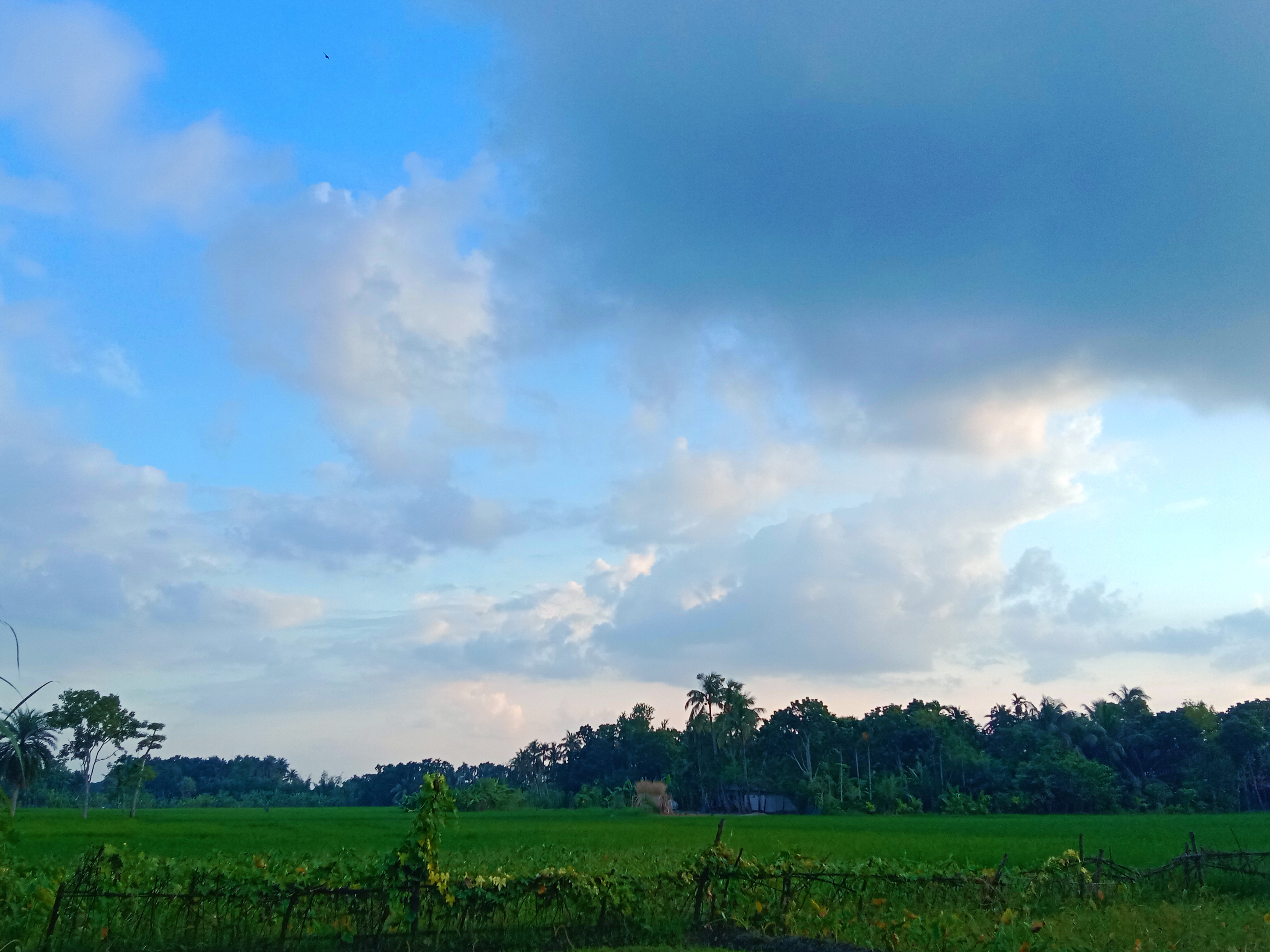 IMG_20260418_121911.jpg
