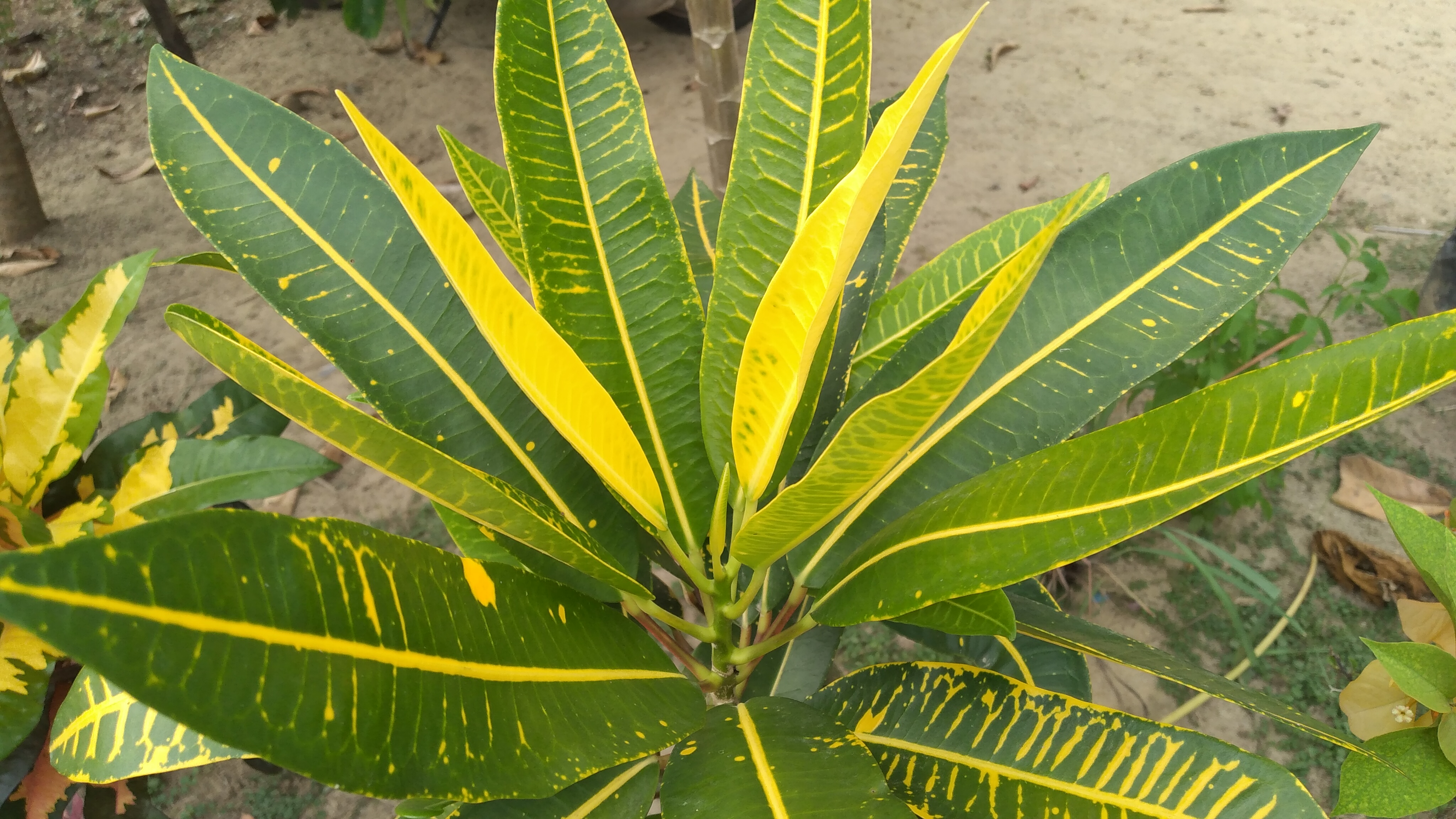 20240326_161051.jpg