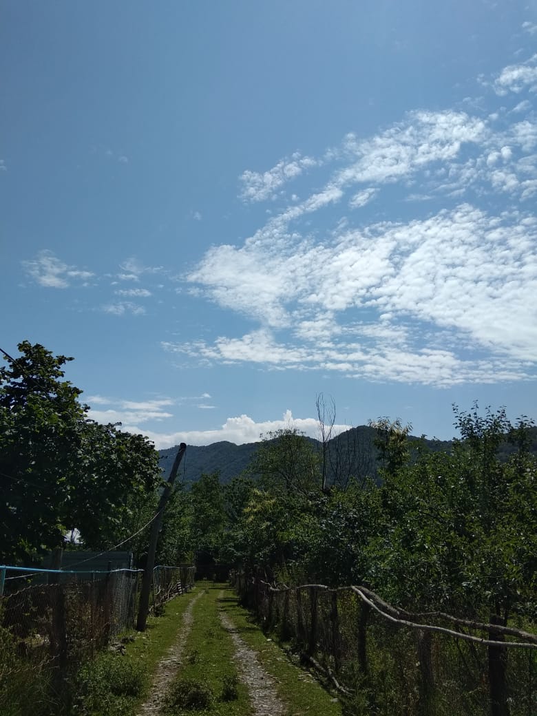 IMG-20180823-WA0012.jpg
