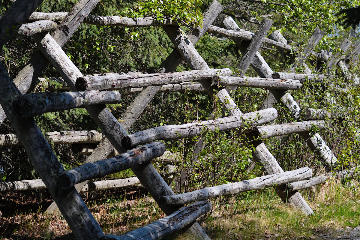 DSC_6790 fence.jpg