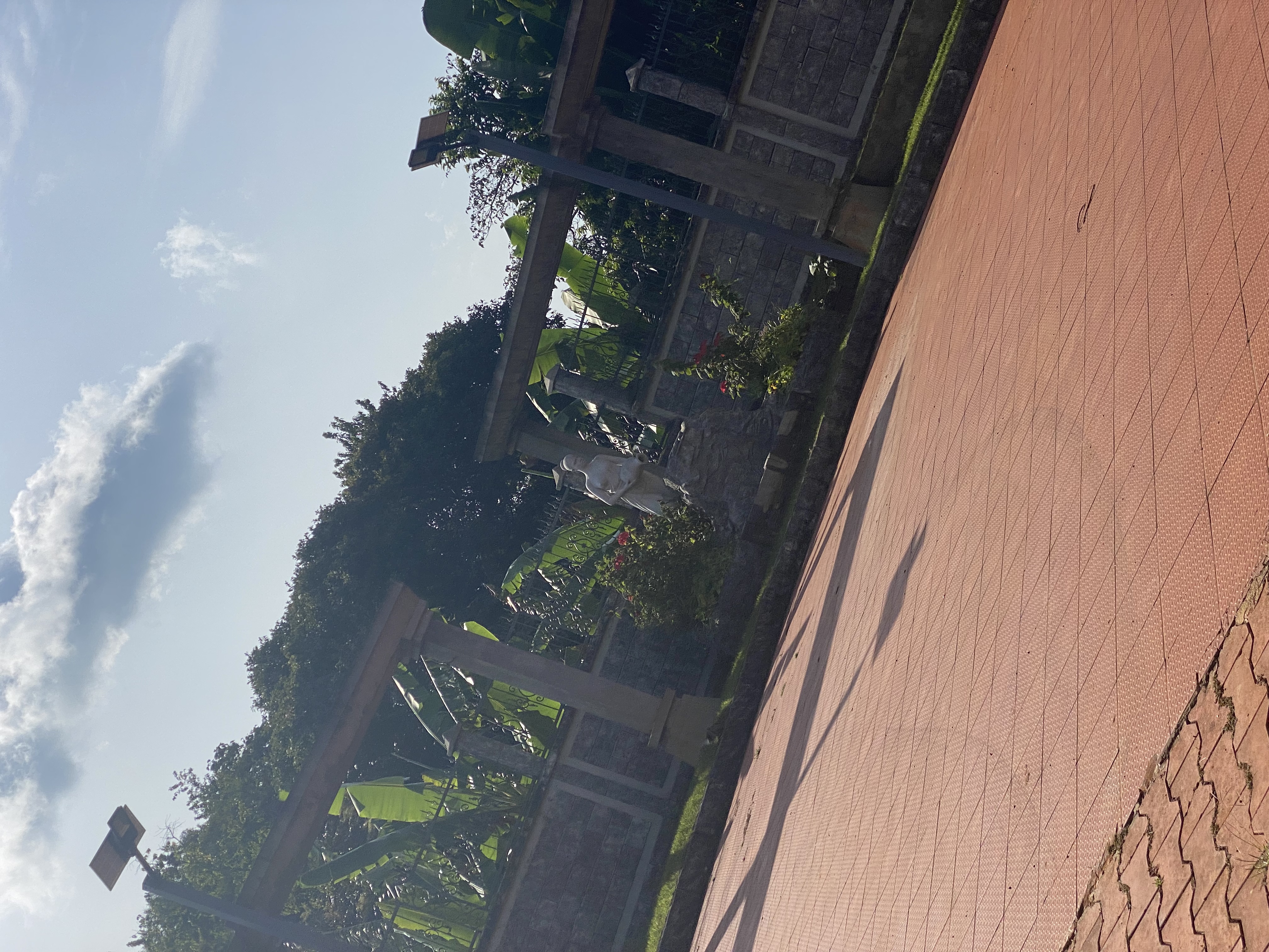 F141AB34-4A85-461B-ACAE-6A7F46ED7388.jpeg