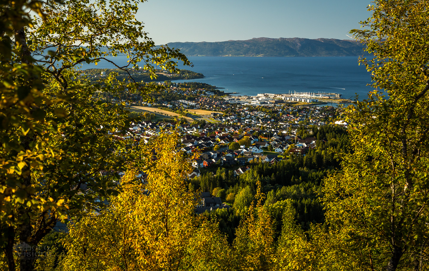 _MG_0355.jpg