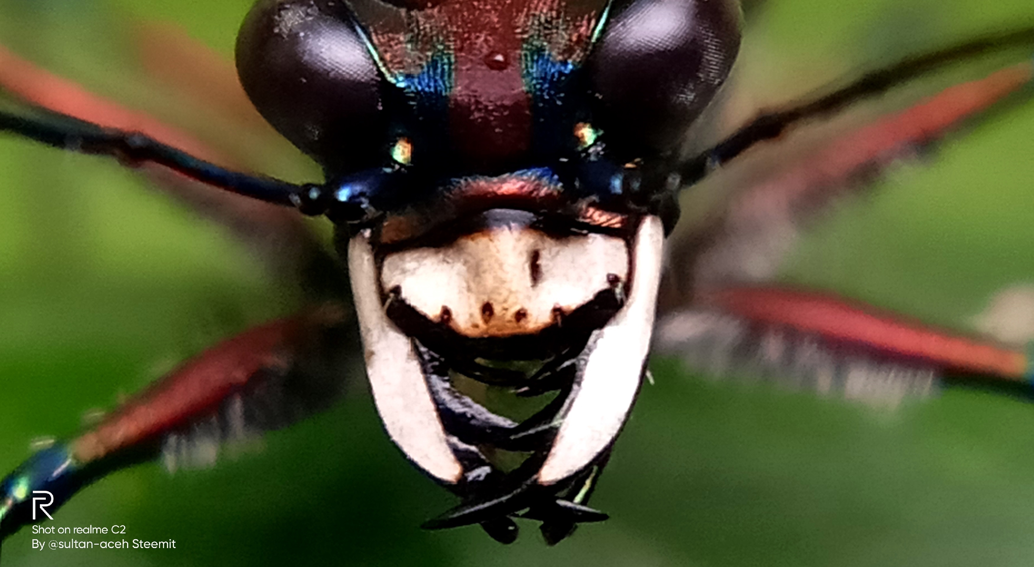 IMG20211020173739.jpg