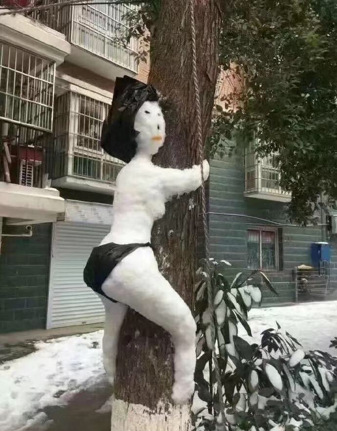 微信图片_201812311959181.jpg
