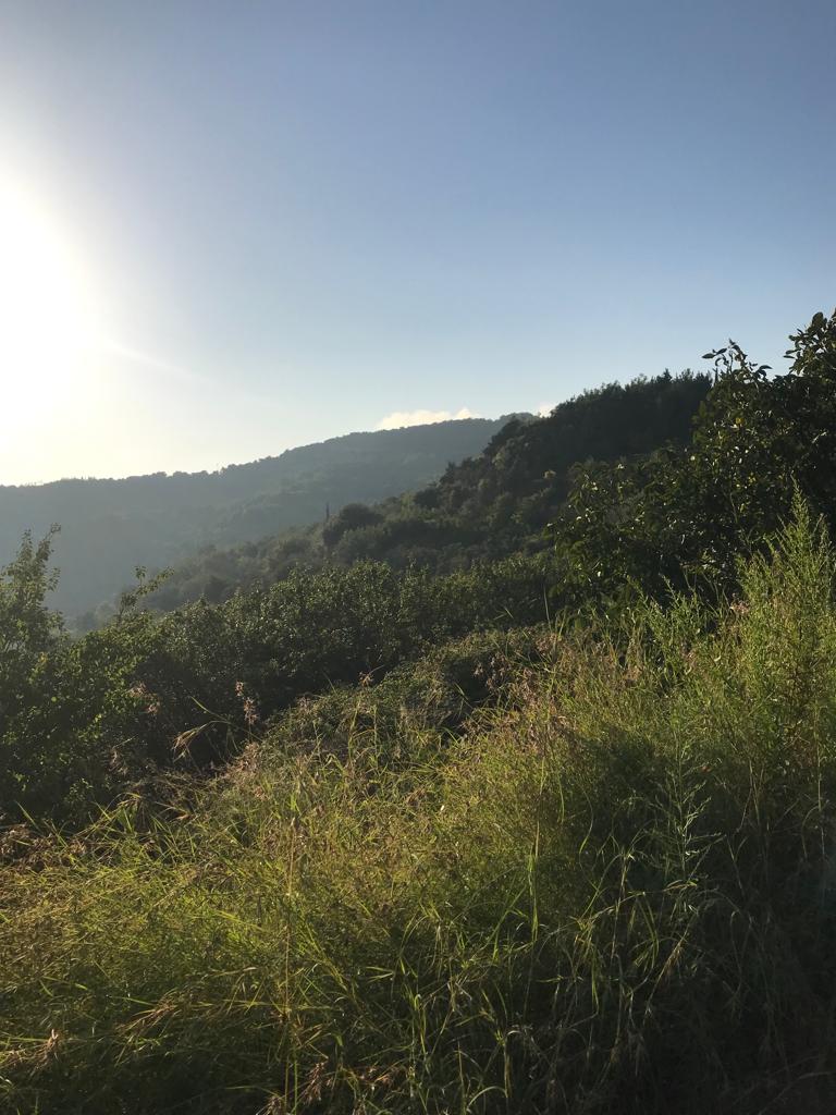 WhatsApp Image 2023-12-12 at 17.28.46 (3).jpeg