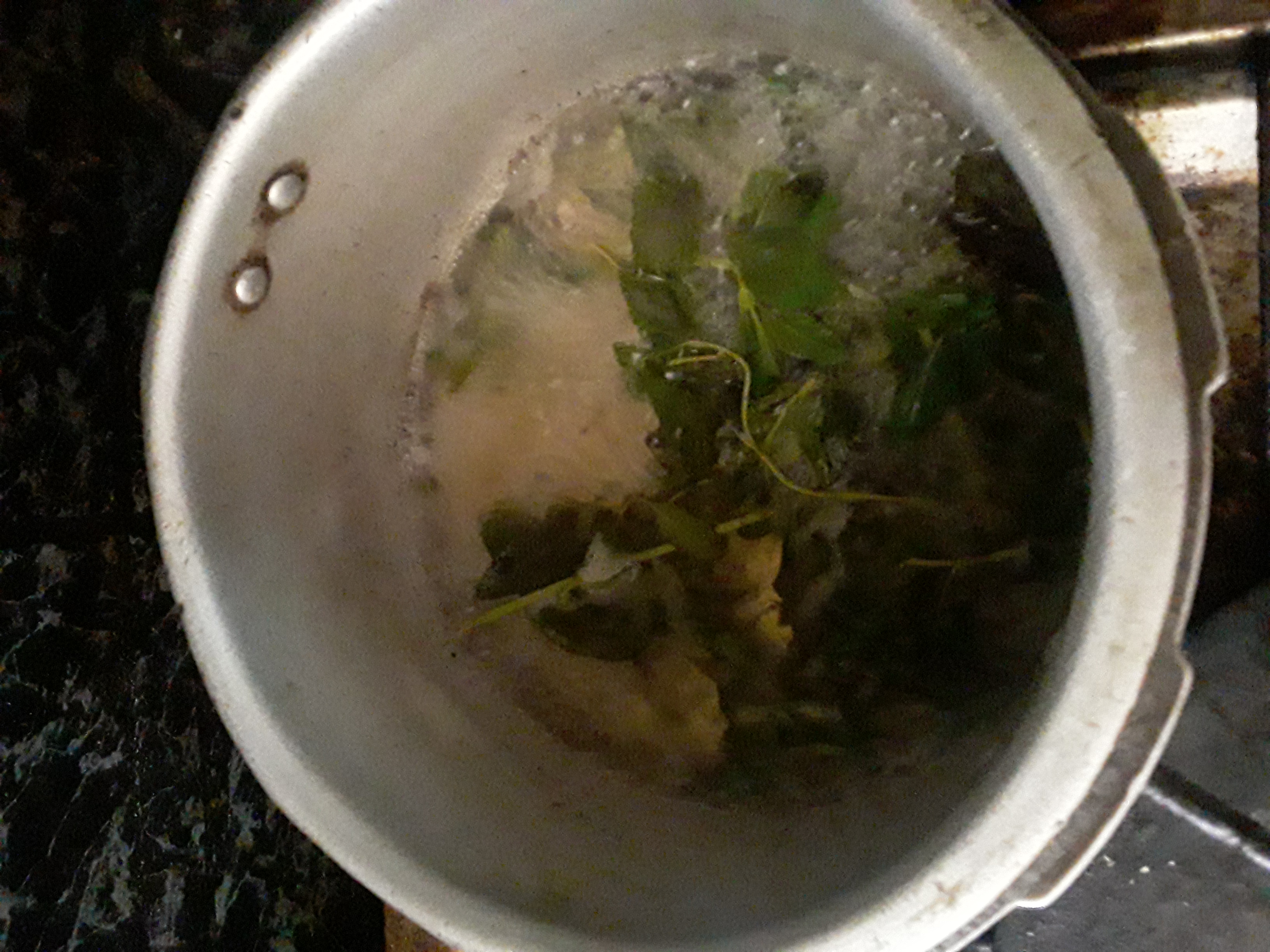 20210403_101536.jpg