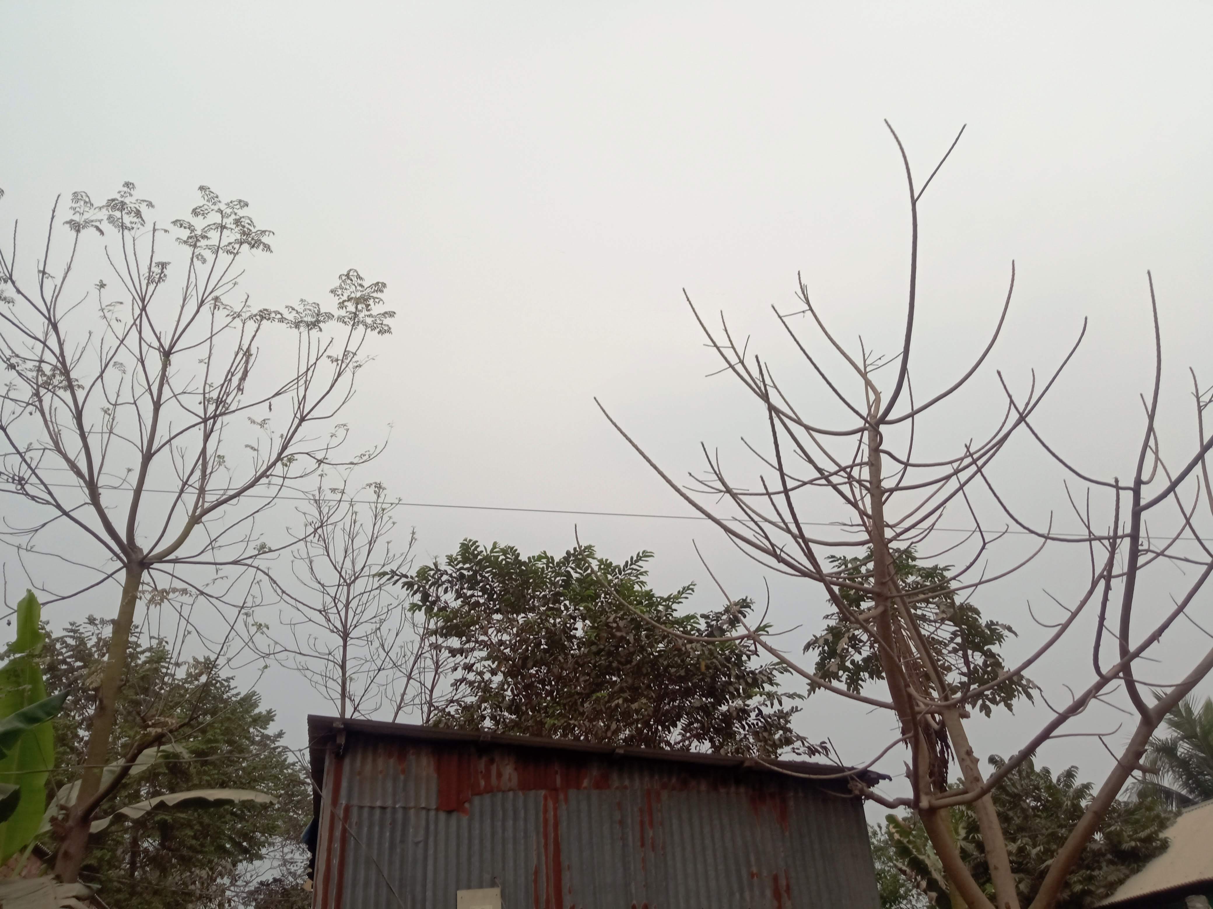 শূণ্যতা (3).jpg