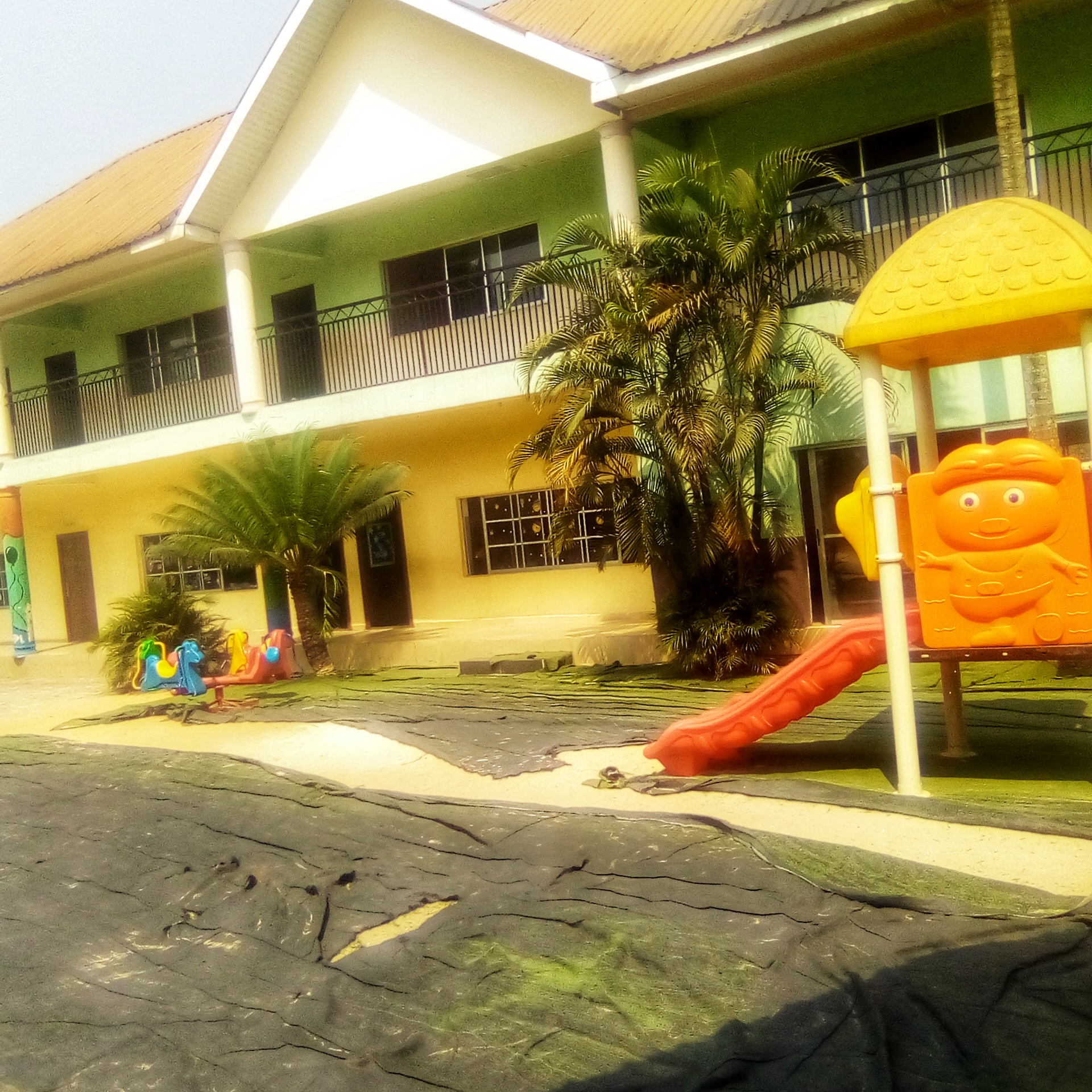 IMG_20220124_141753_0-01.jpeg