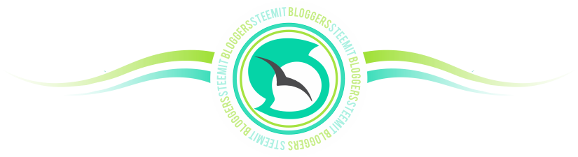 steeitbloggers.png