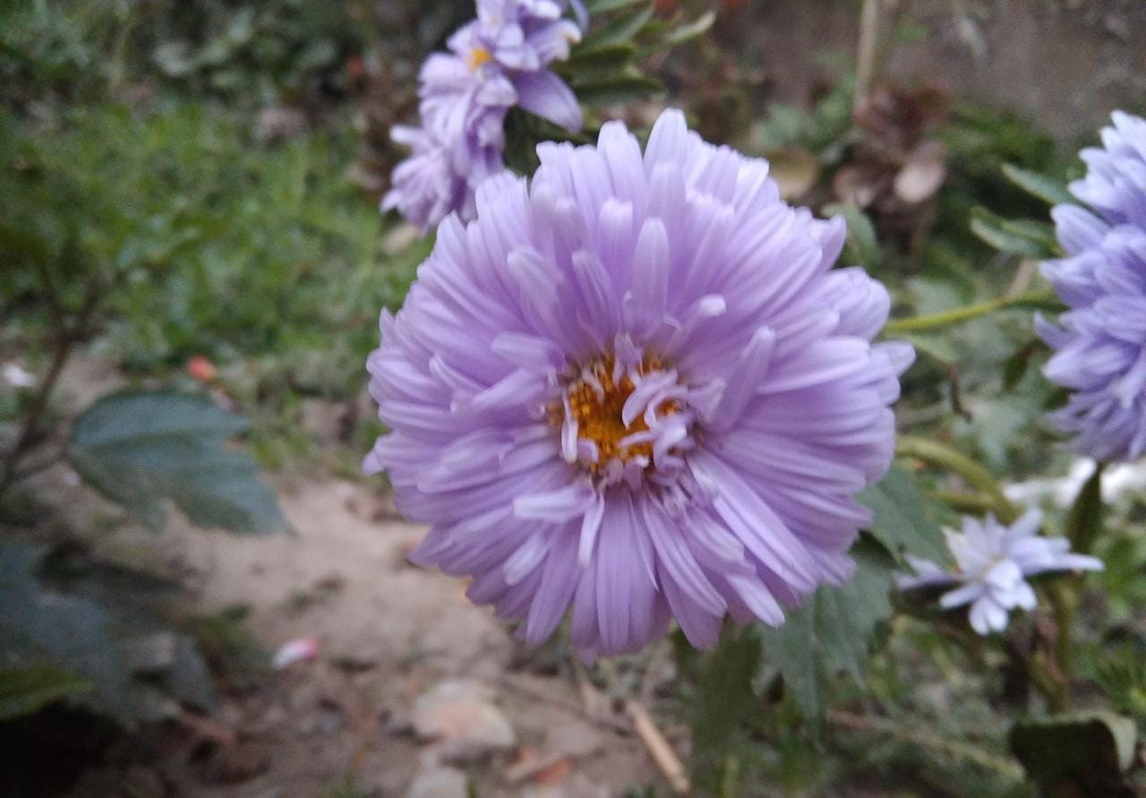 WhatsApp Image 2022-09-20 at 11.46.40 PM (1).jpeg