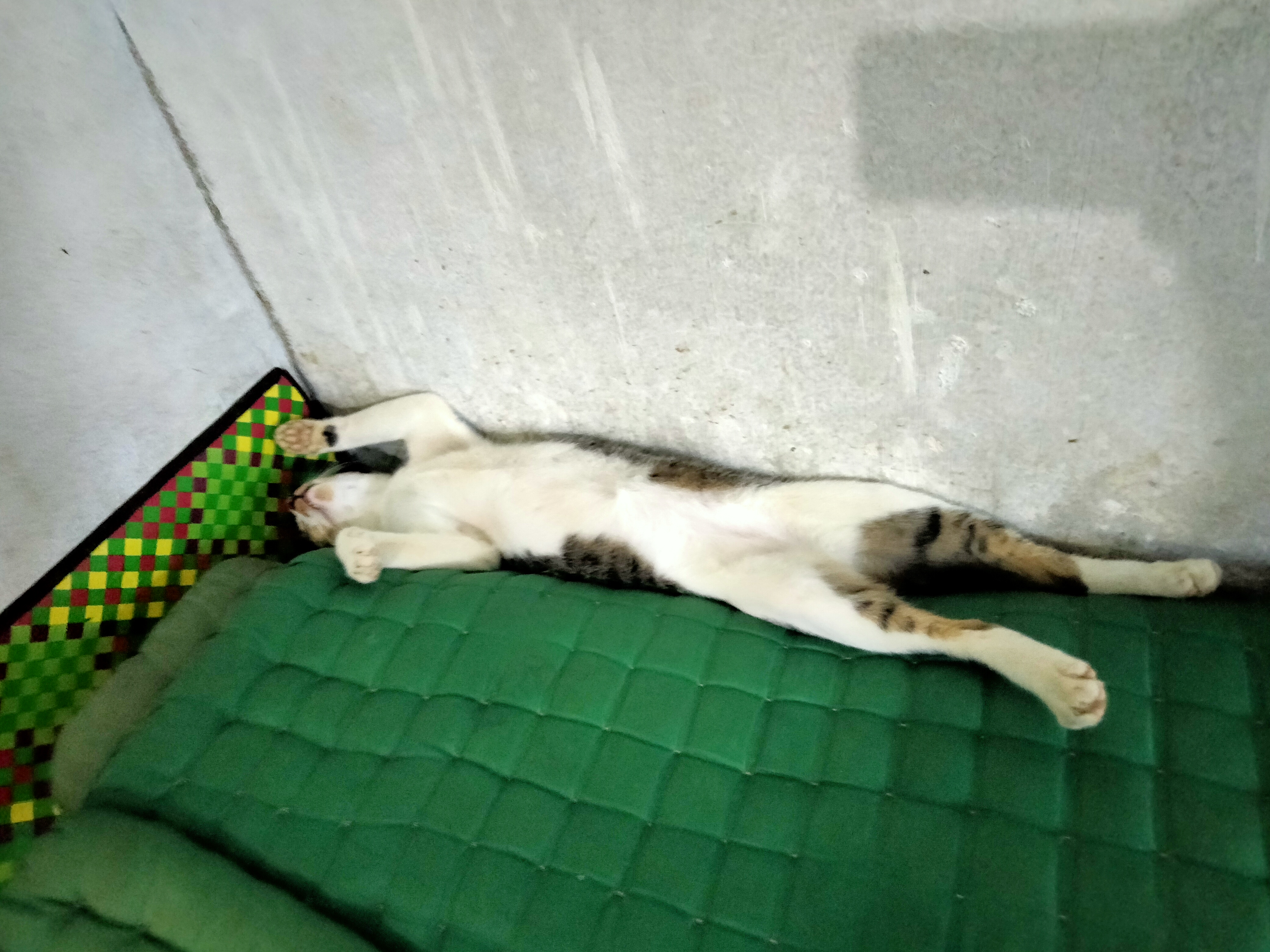 IMG20260301133827.jpg