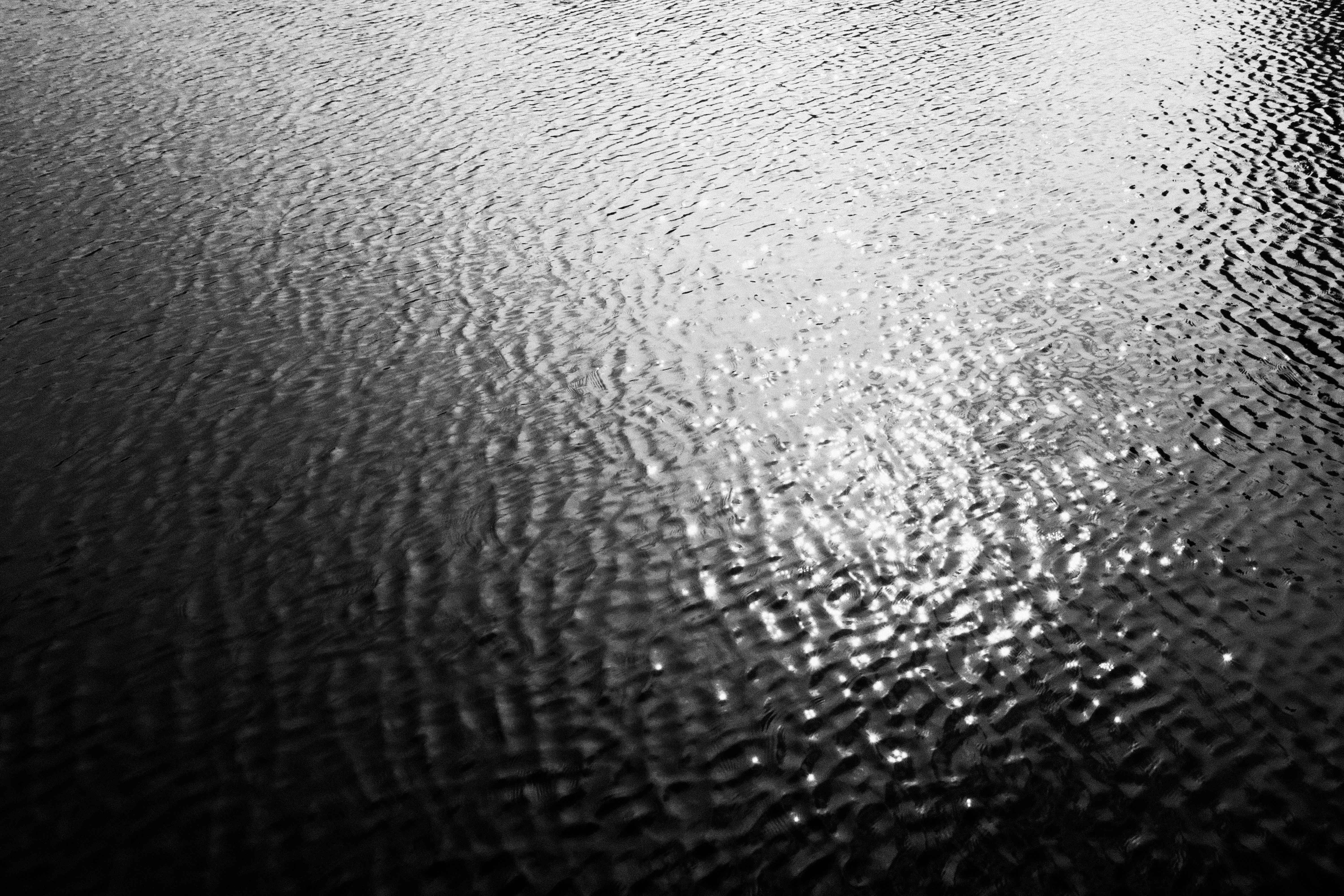 DSCF9805.jpg
