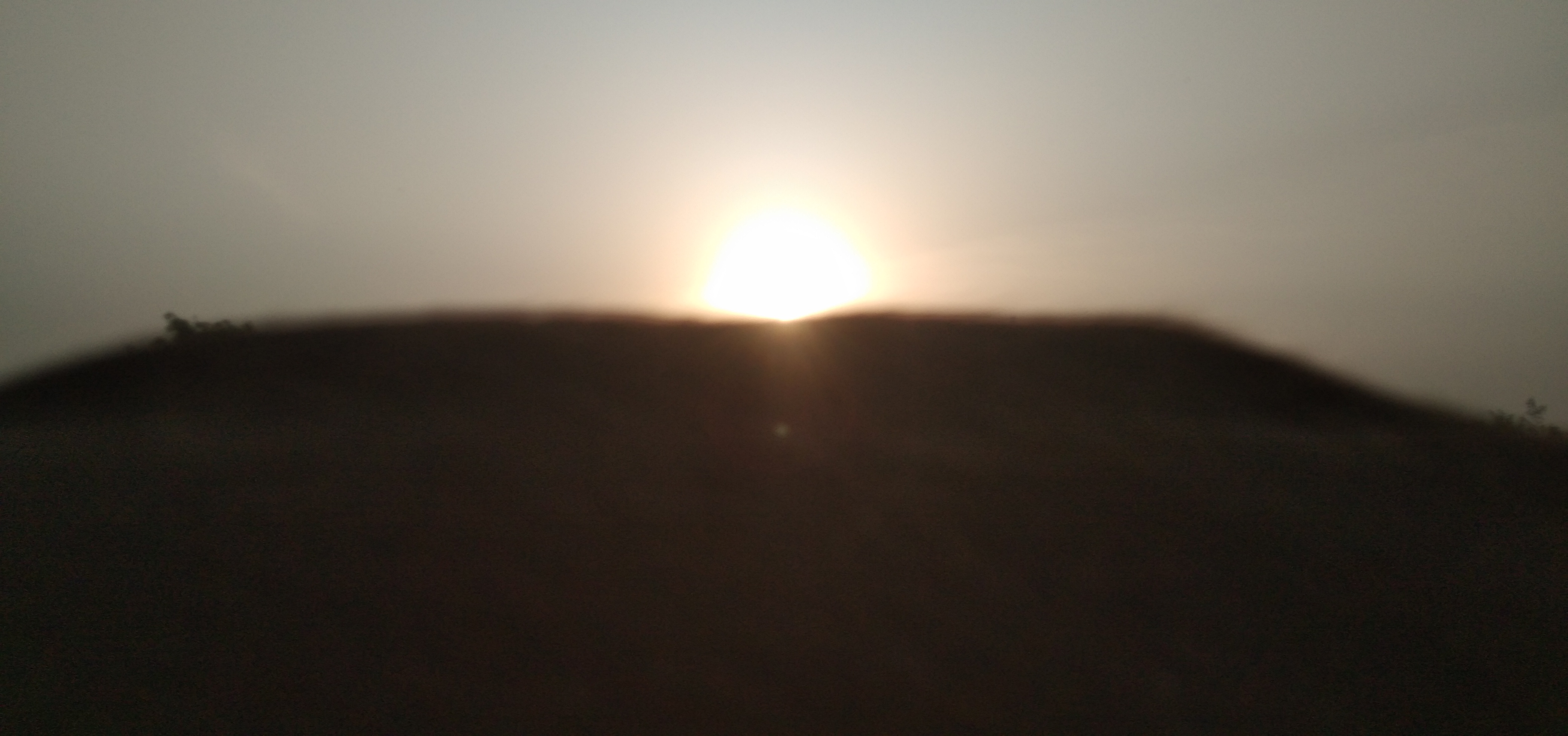 IMG_20210501_061544.jpg