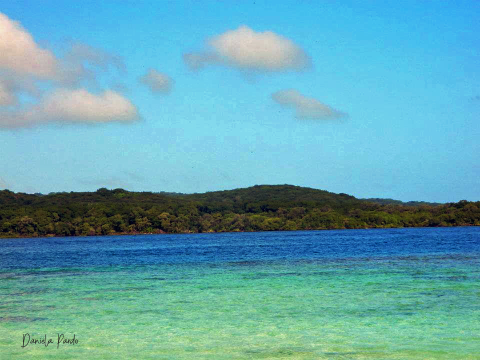 11-04azules.jpg