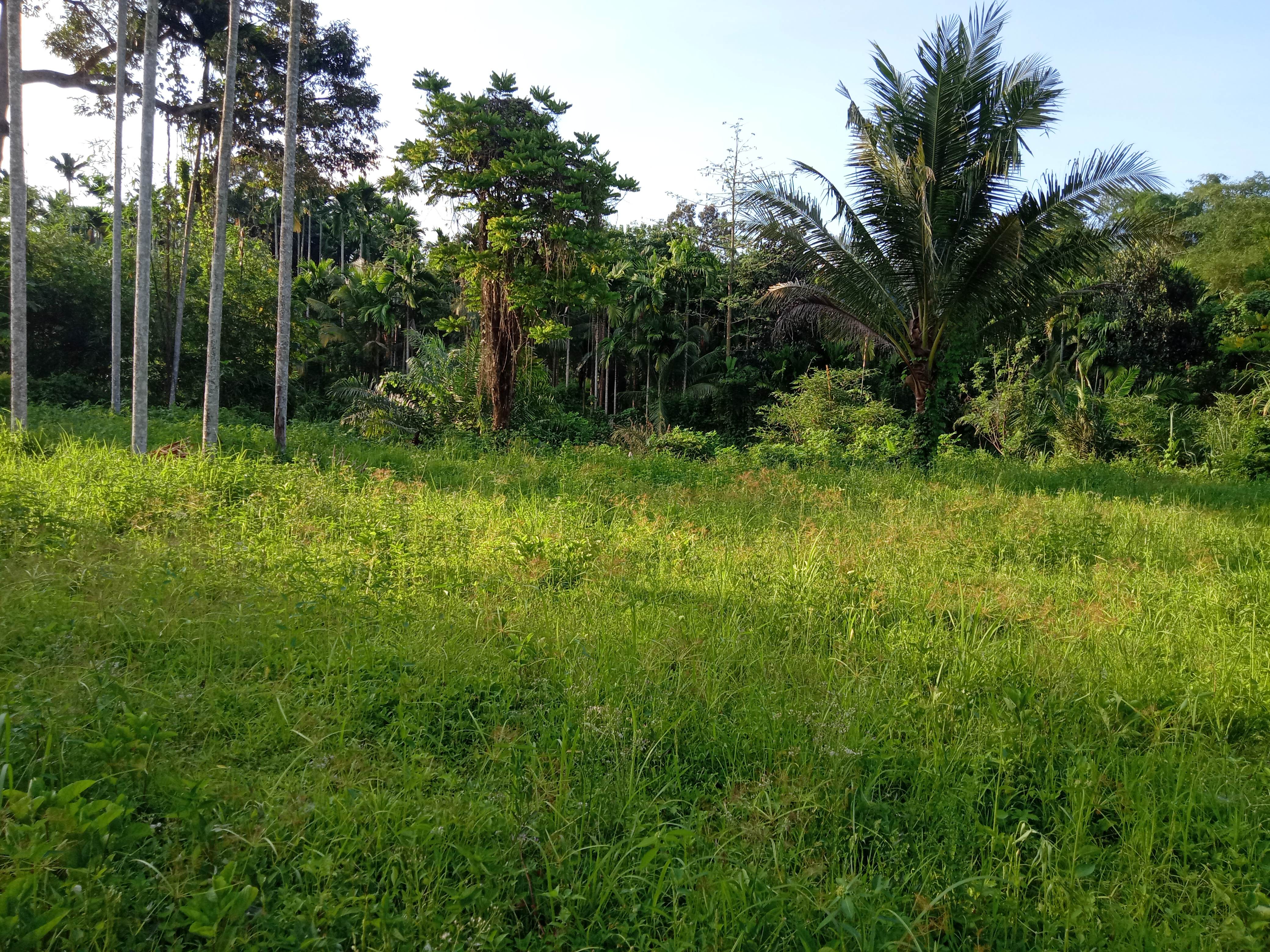 IMG20220410171528.jpg