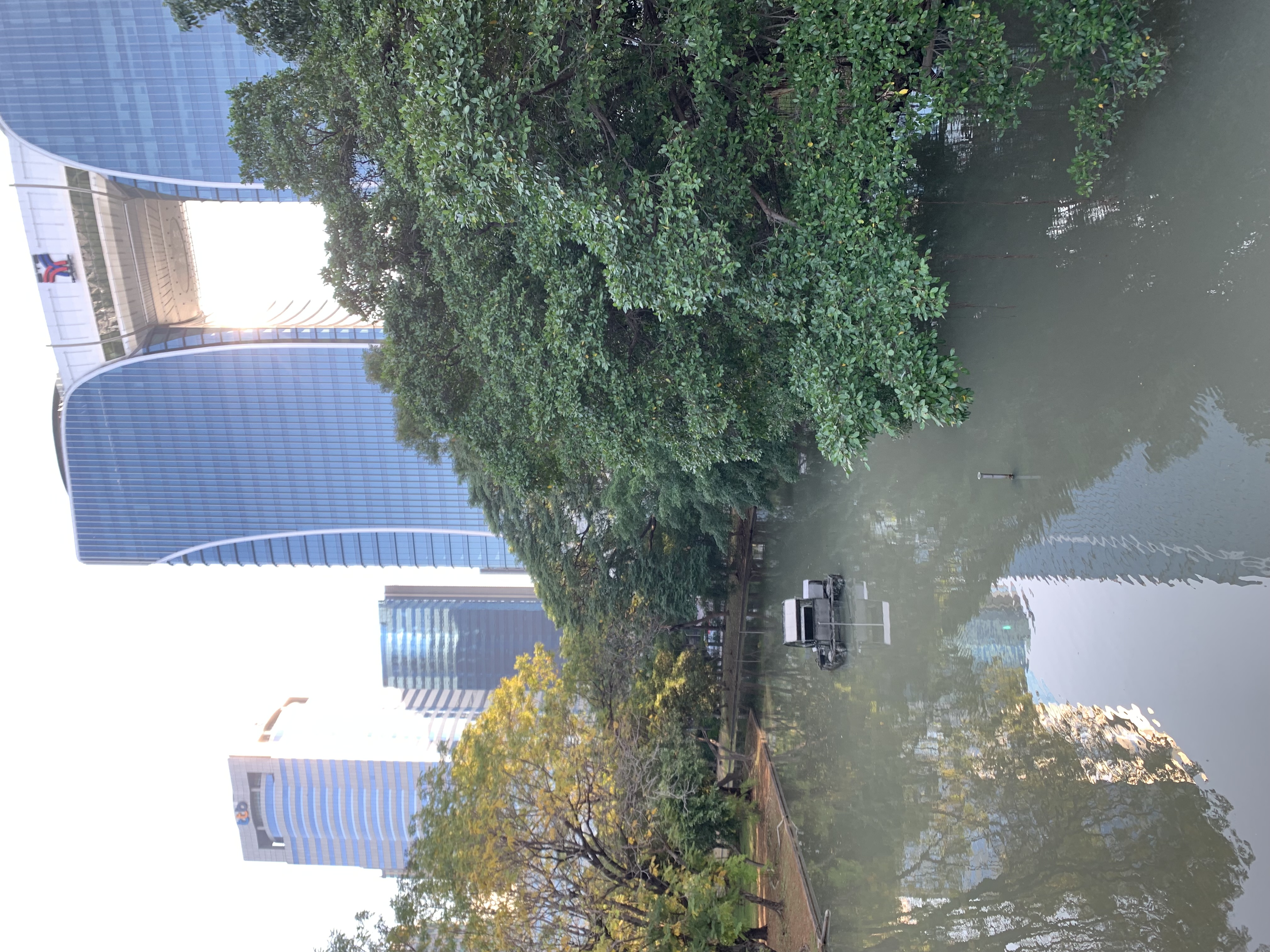 Chatuchak Park131.jpg