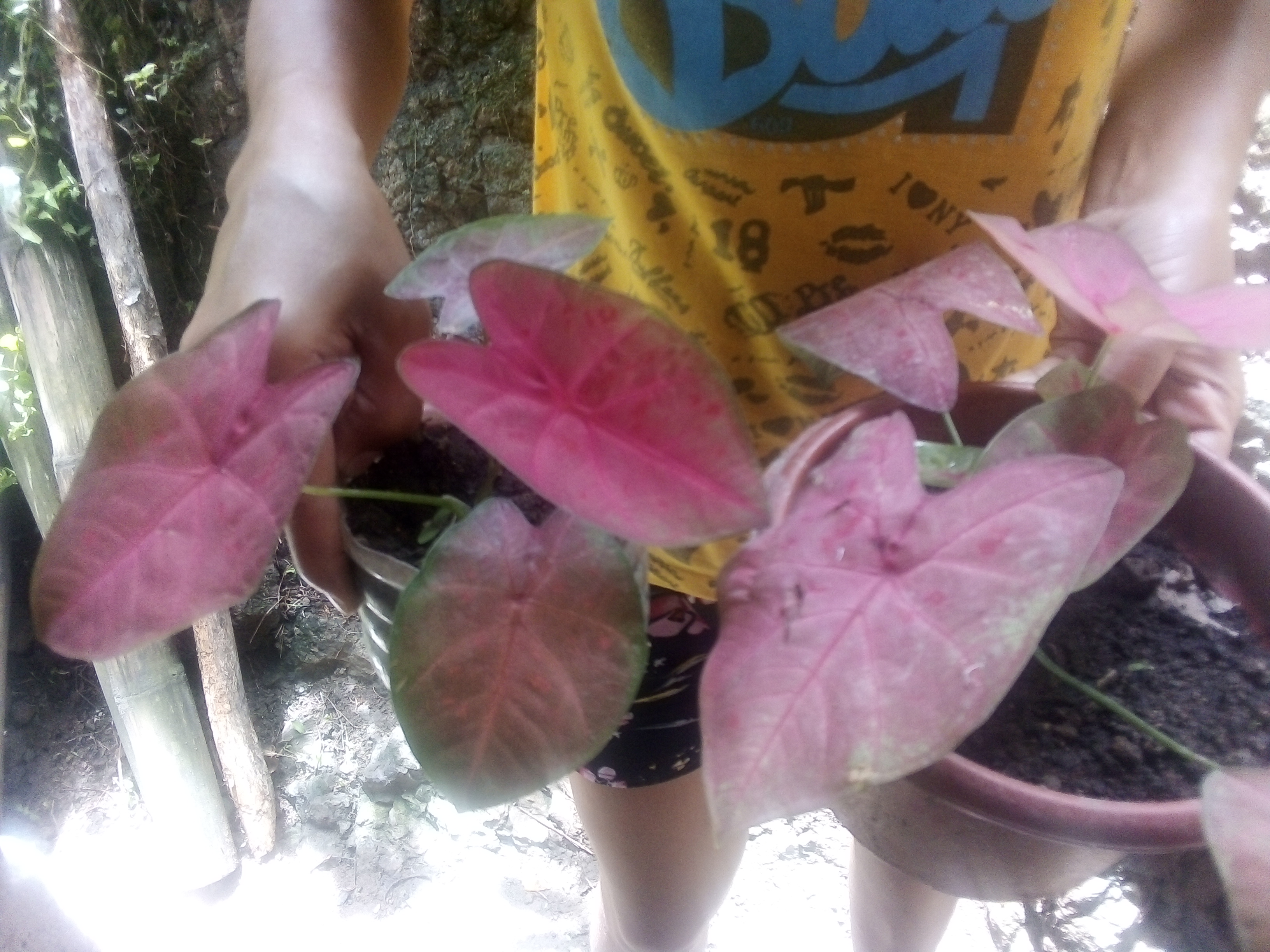 IMG_20210516_105051.jpg
