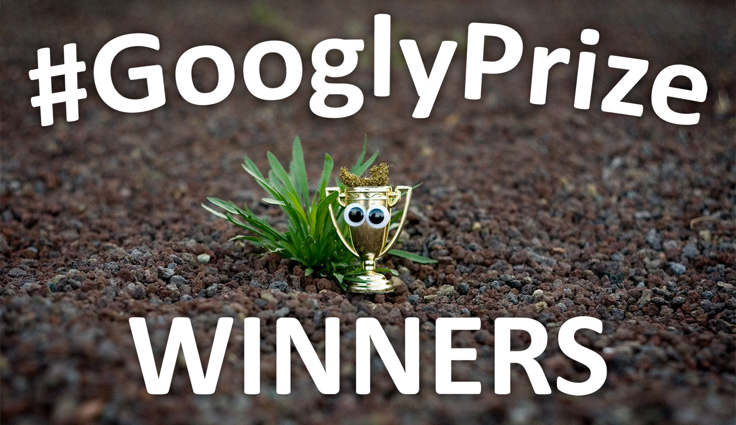 GooglyPrize GooglyEyes TitleImage Vol97