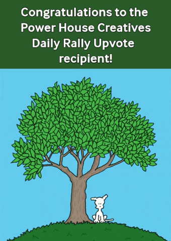 fall congrats chippy the dog.gif