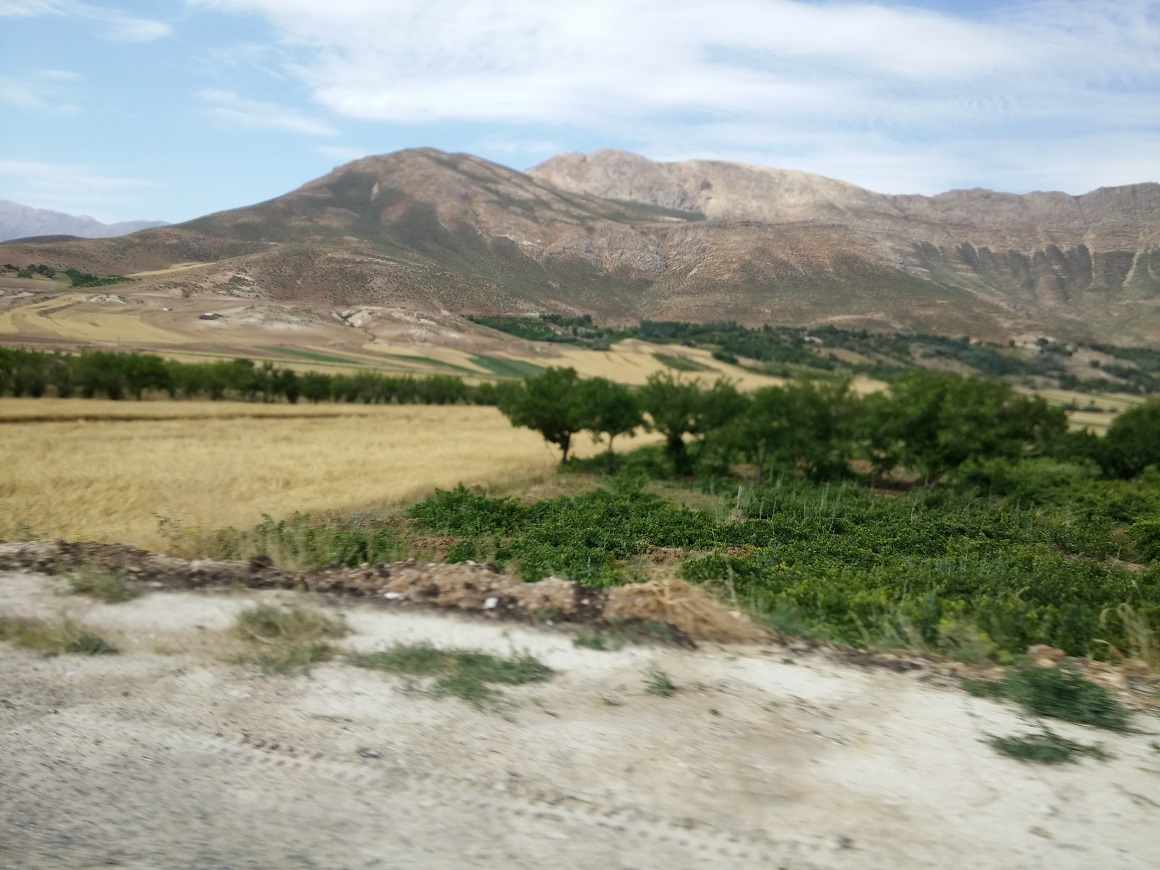 20150724_102420.jpg