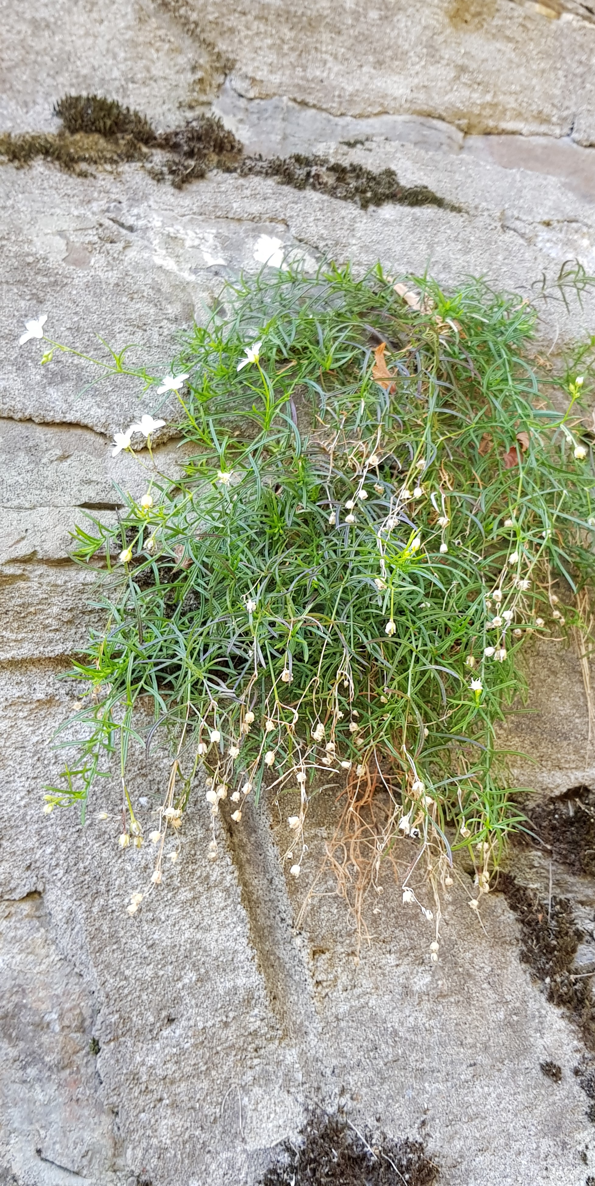 20181026_161455.jpg