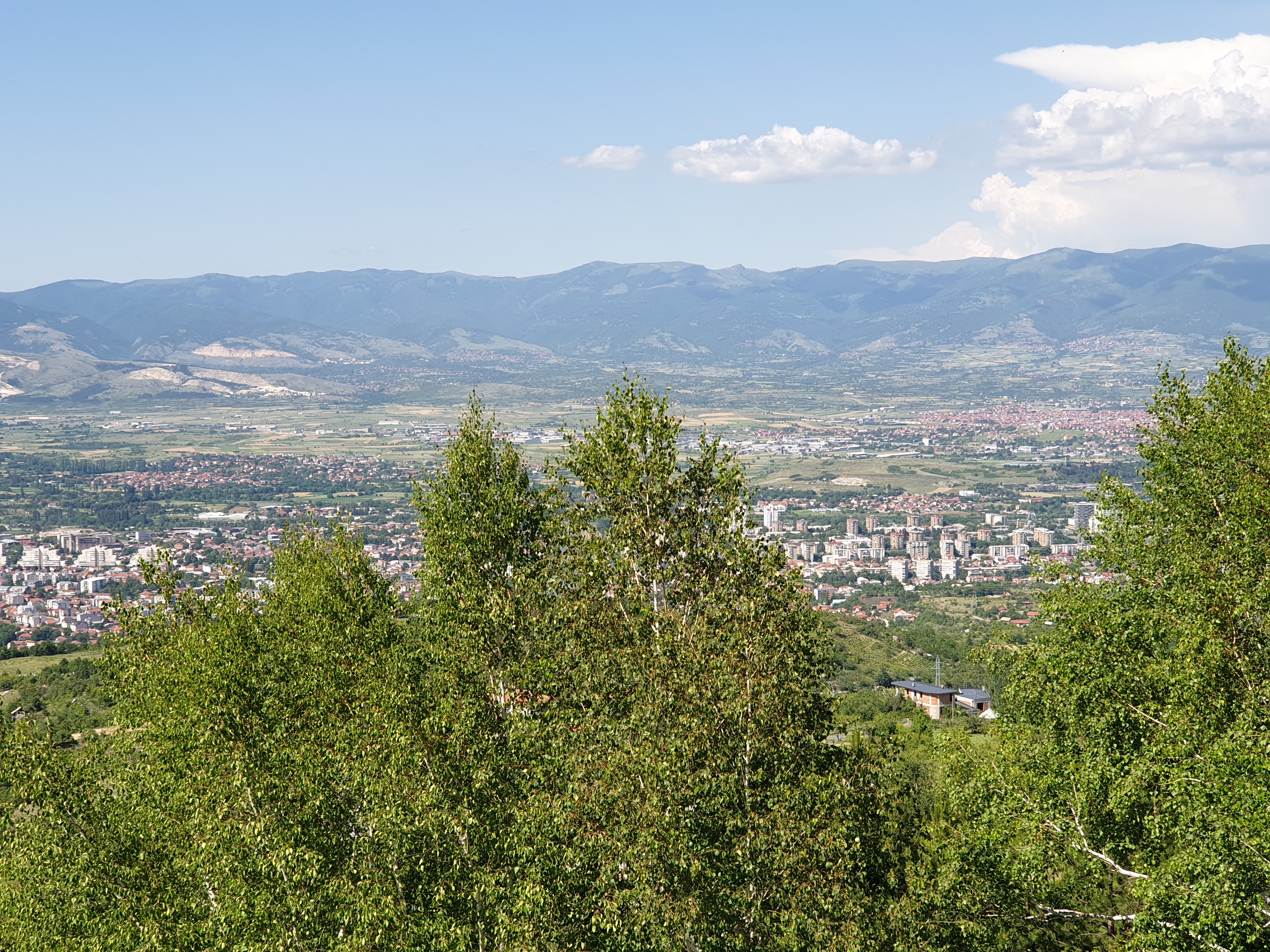 20190612_151912.jpg