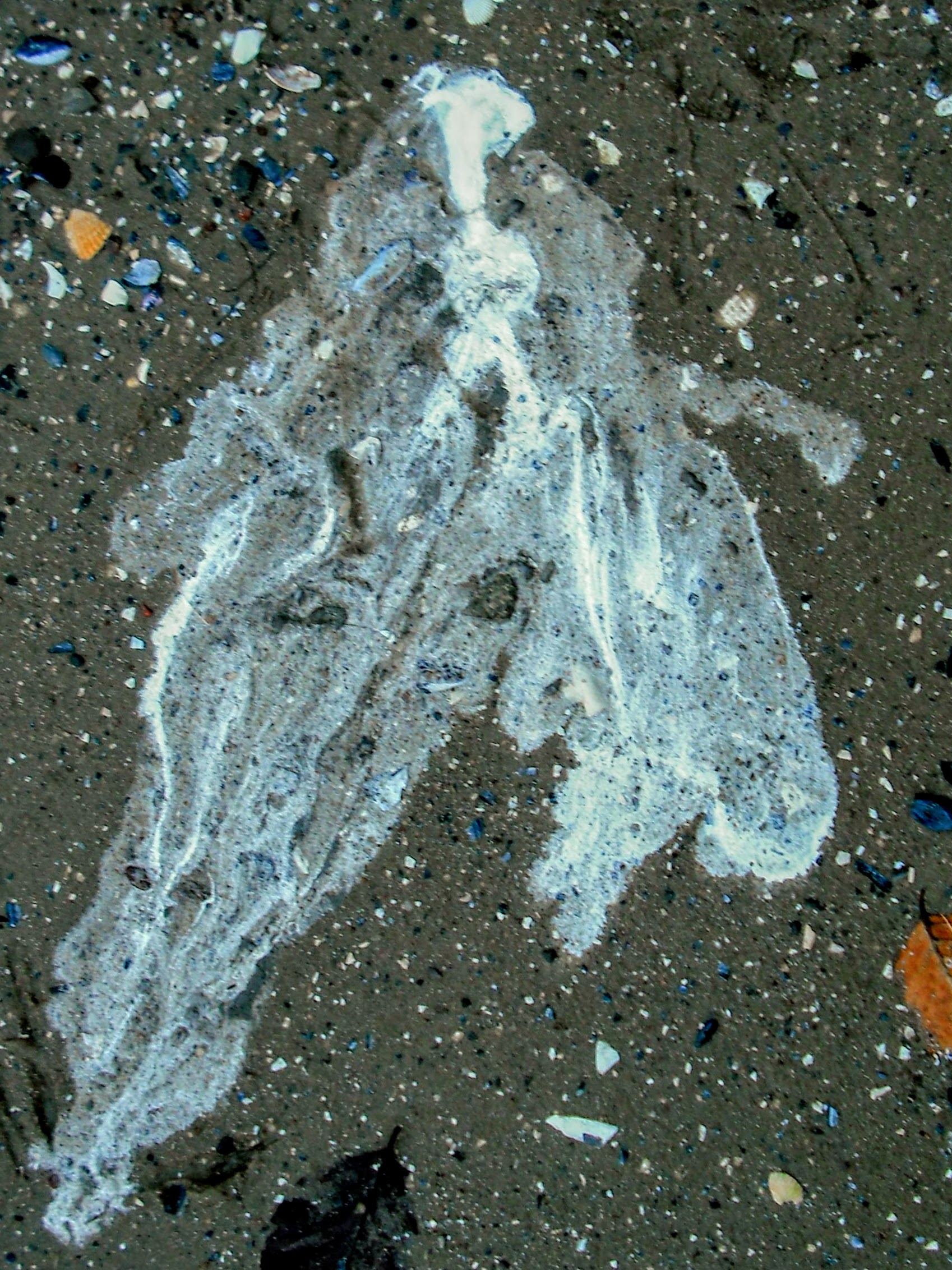 DSCF4926.jpg