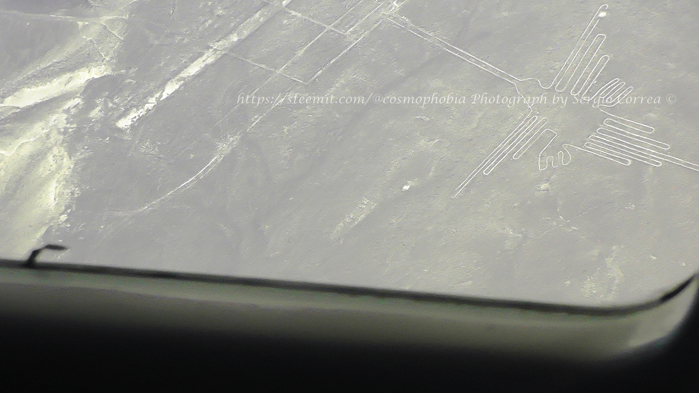 S3090024.JPG