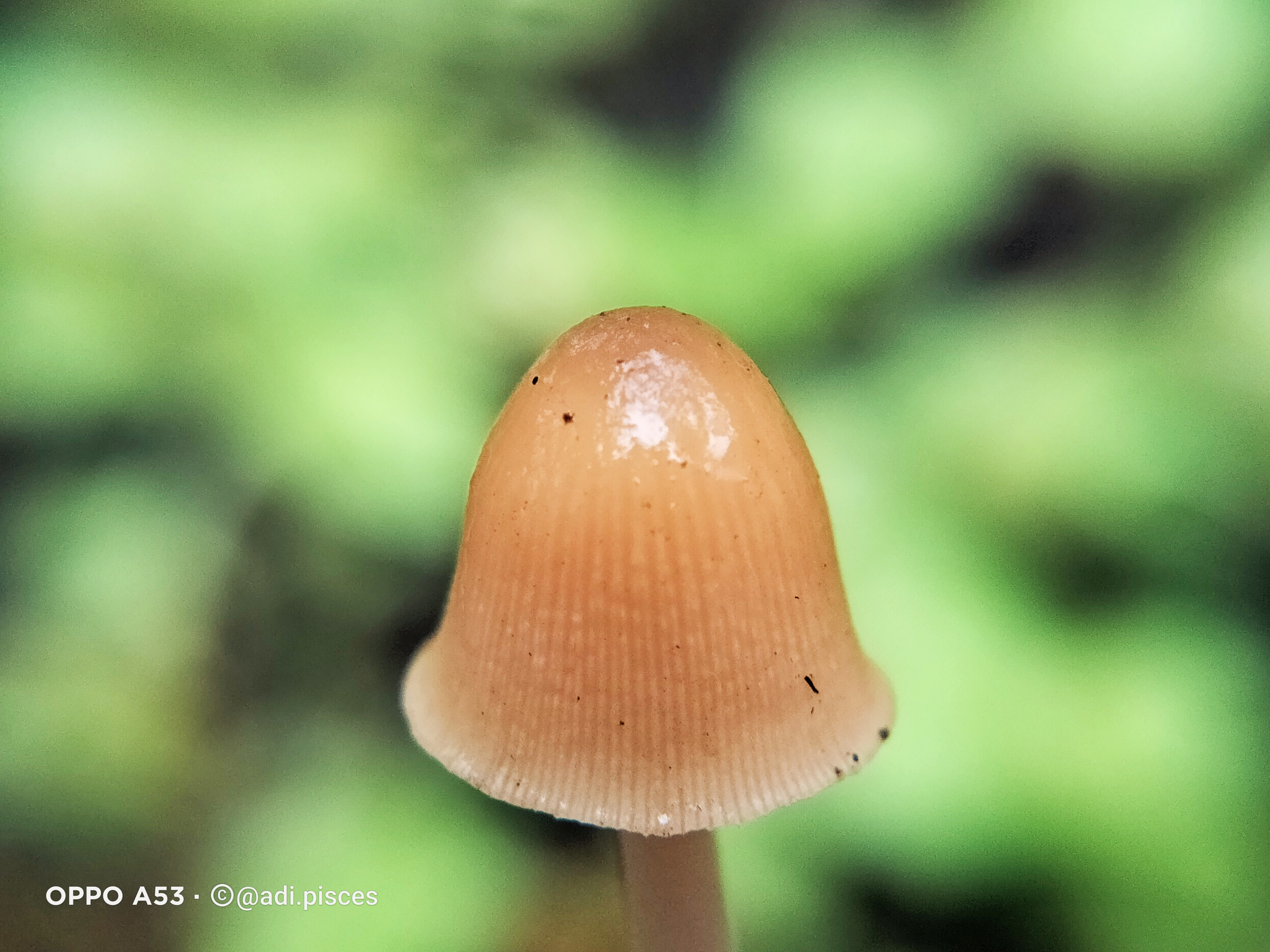IMG_20211201_064331.jpg