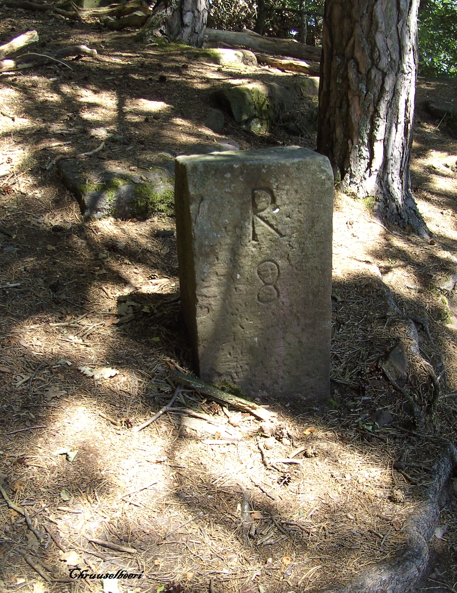 Wanderung_06.jpg