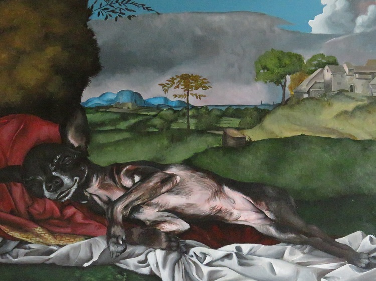 Sleeping Fefe of Dresden.jpg