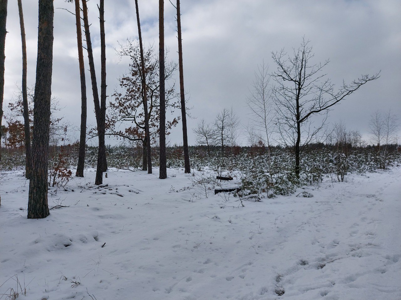 Photofeed Landscape Photography