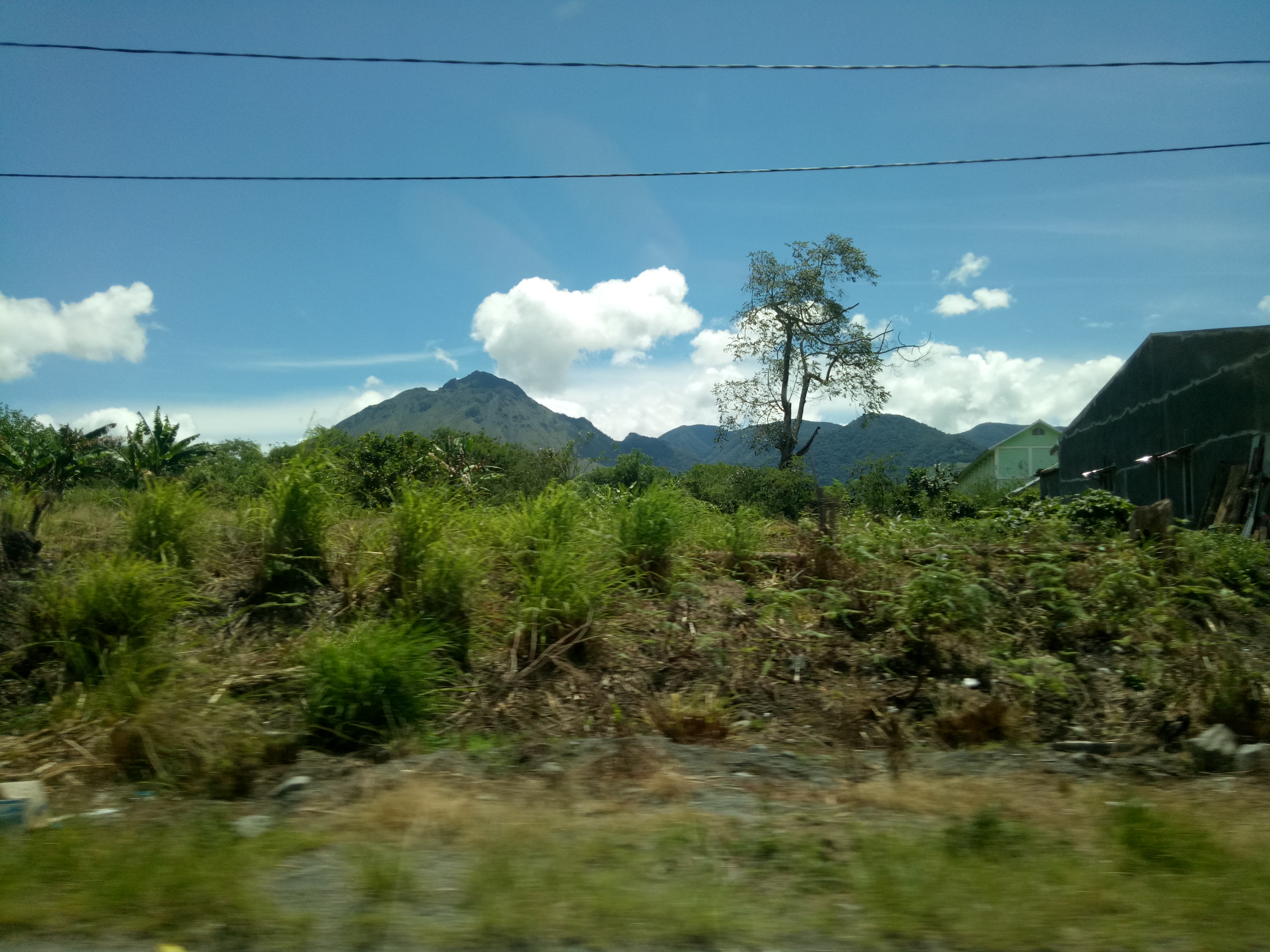 IMG20170702125120.jpg