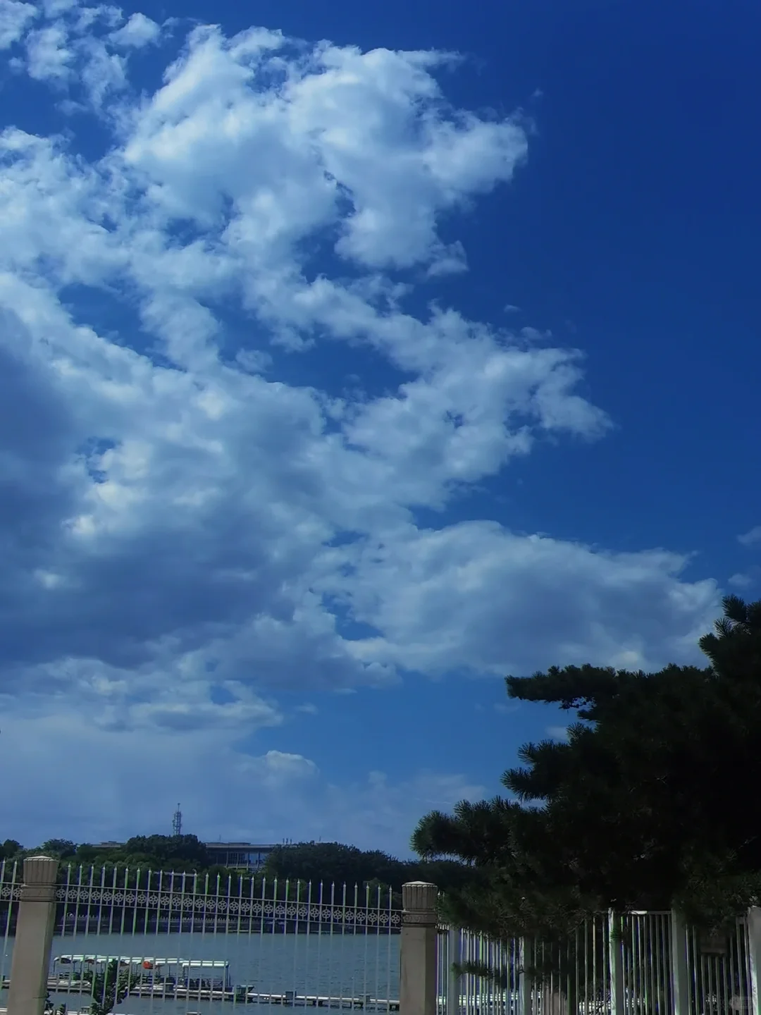 39.webp