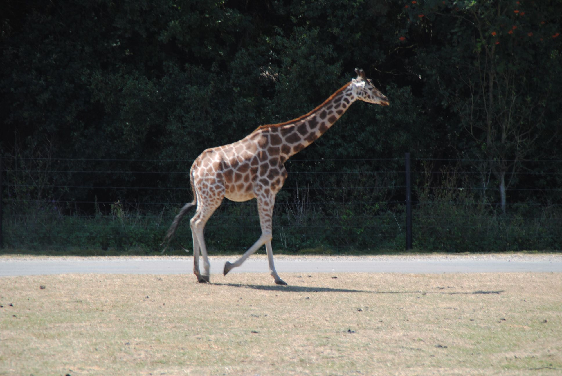 image090.jpg