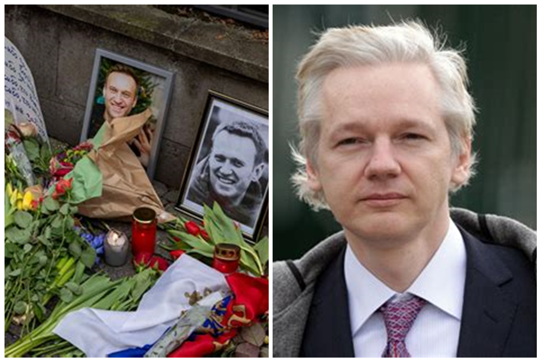 assange nawalny.png