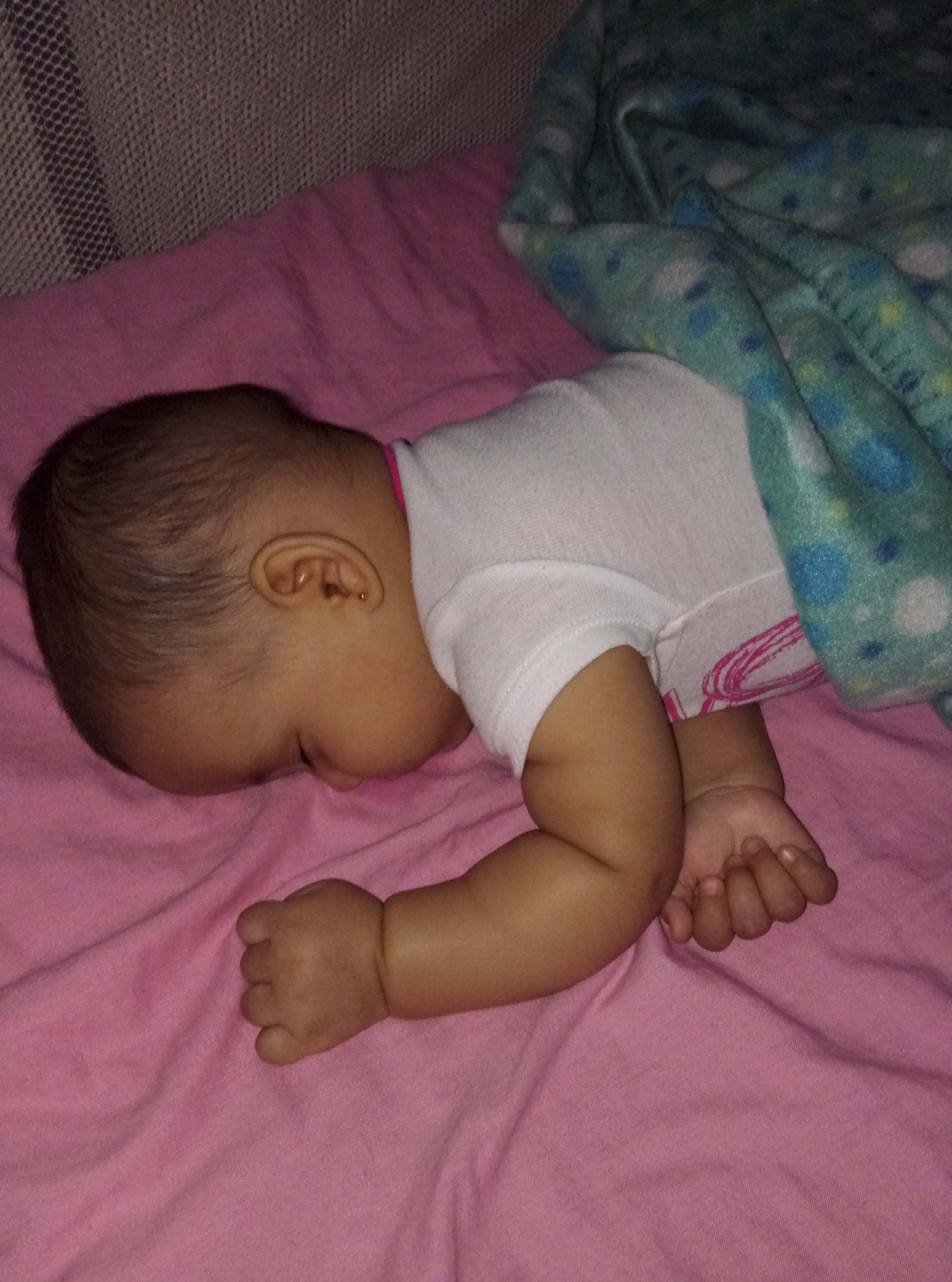 IMAG0481.jpg