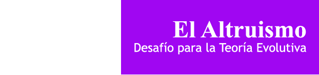 2323-02.png